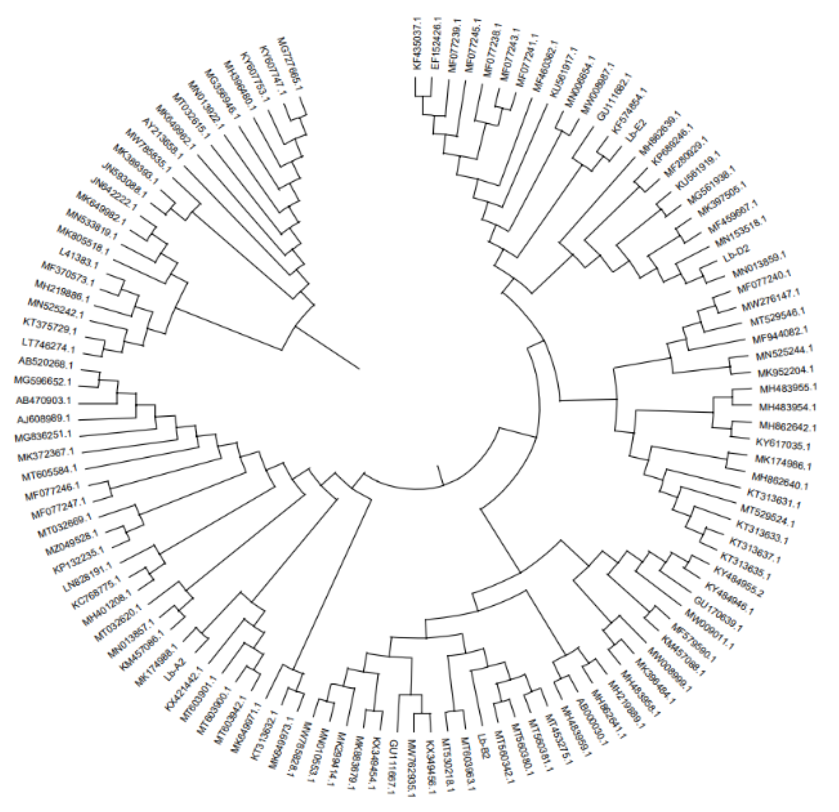 Preprints 180807 g003