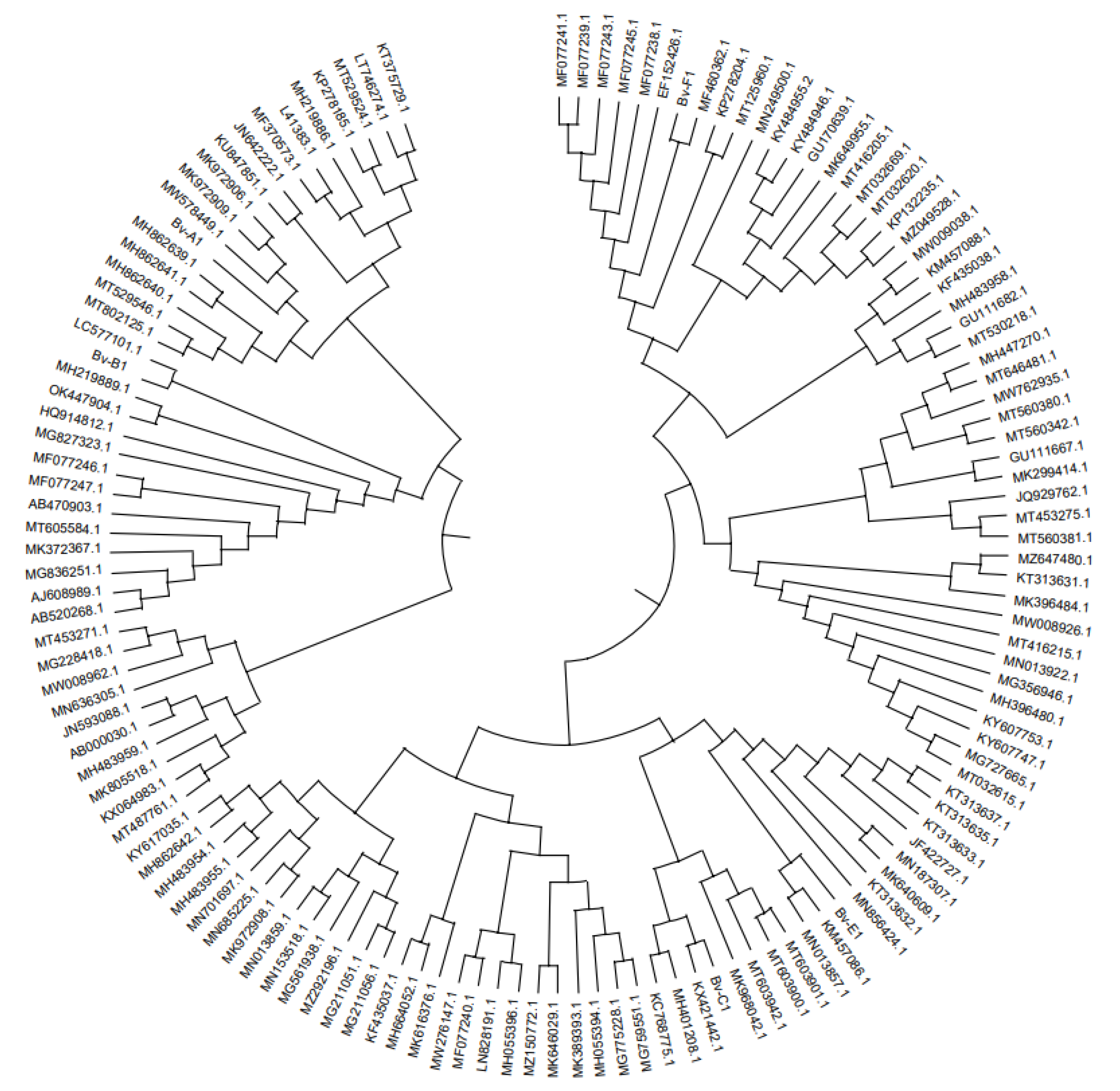 Preprints 180807 g005