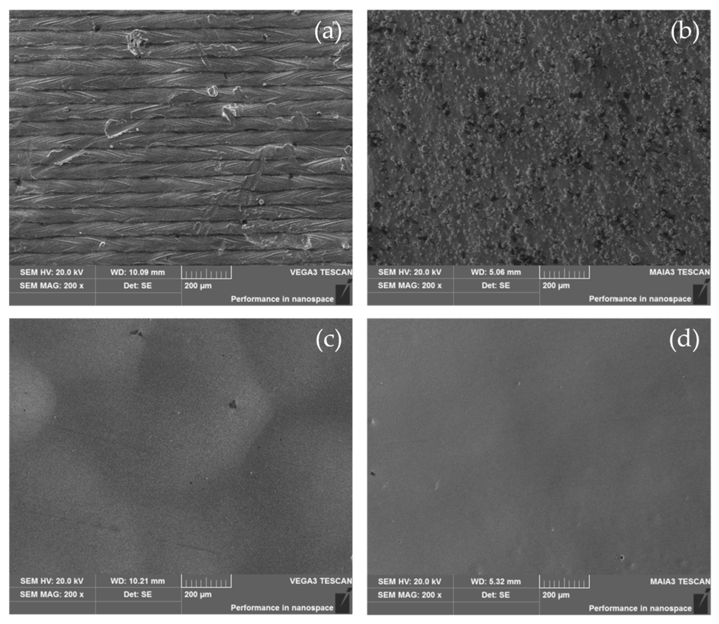 Preprints 194241 g006