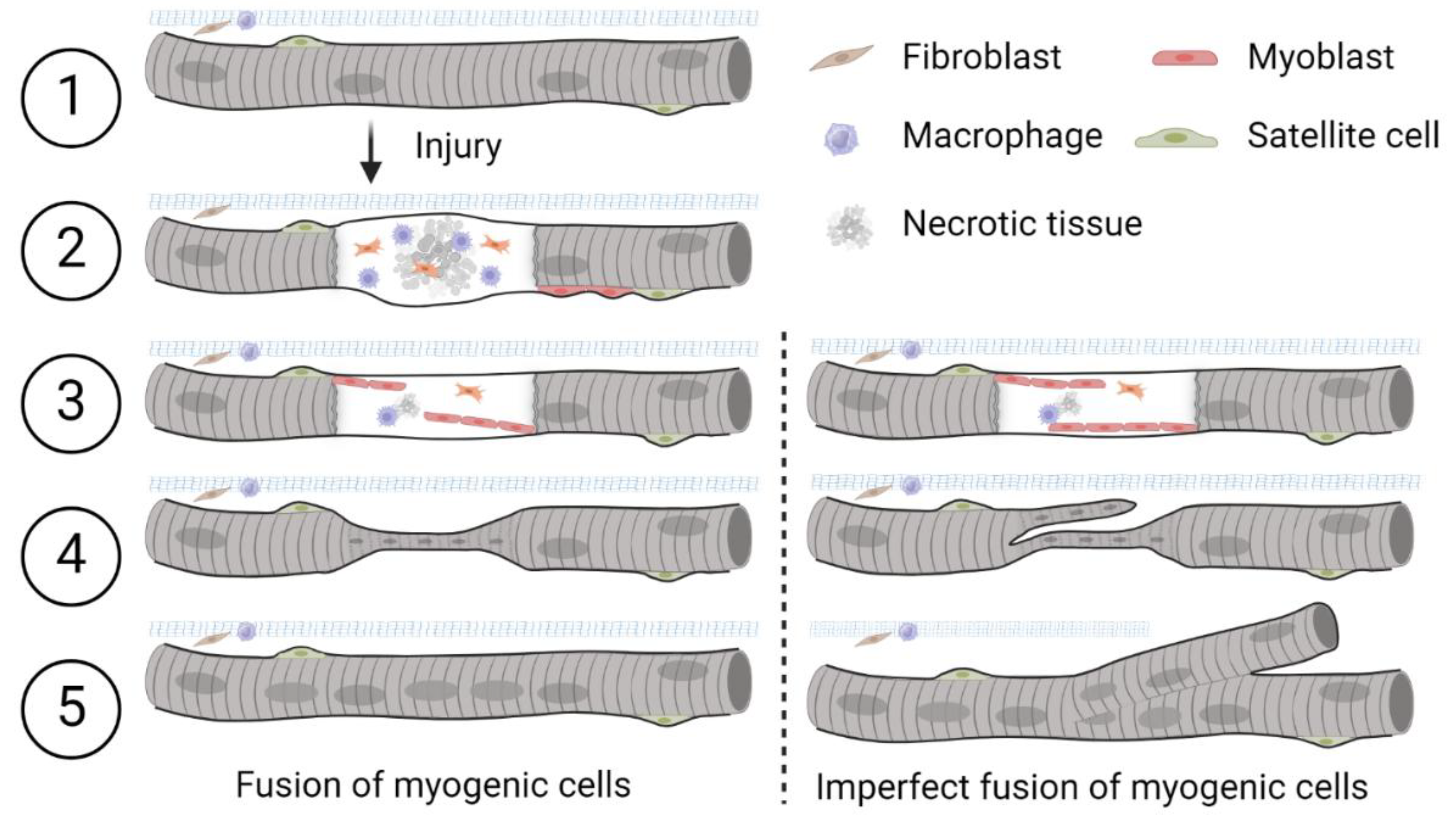 Preprints 190150 g001