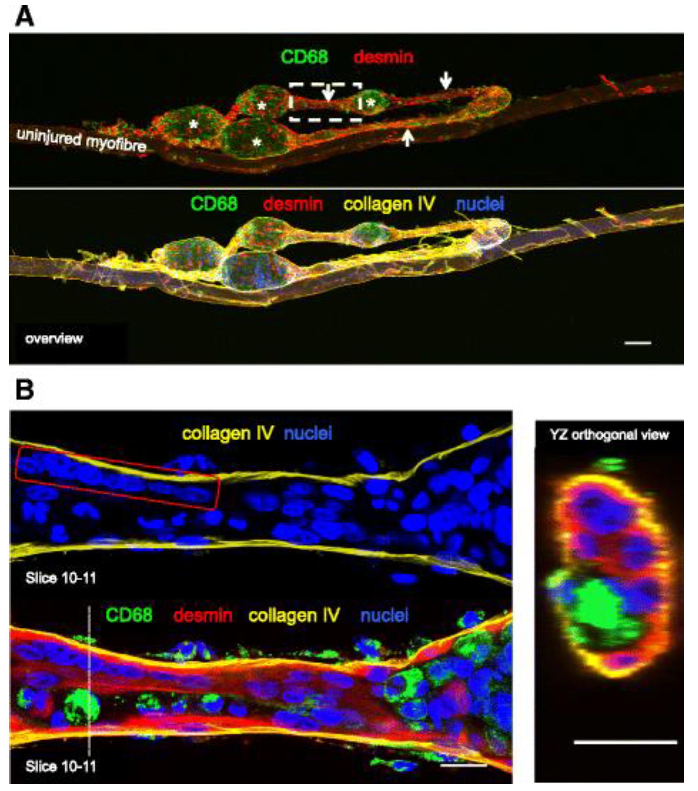 Preprints 190150 g002