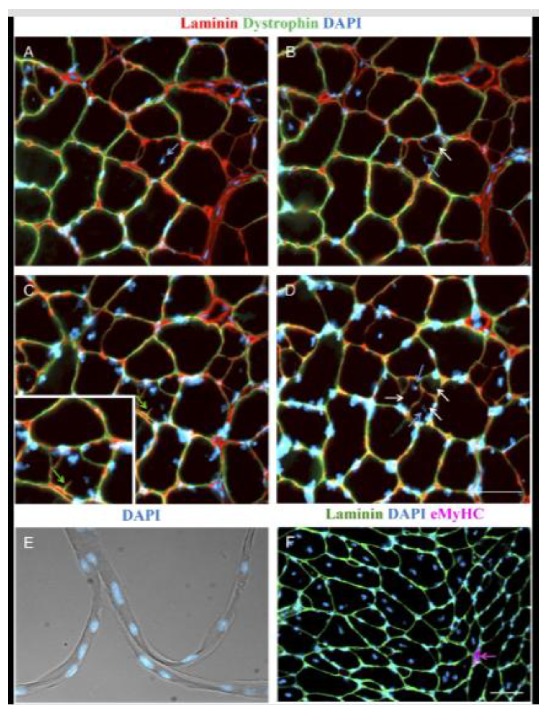 Preprints 190150 g003