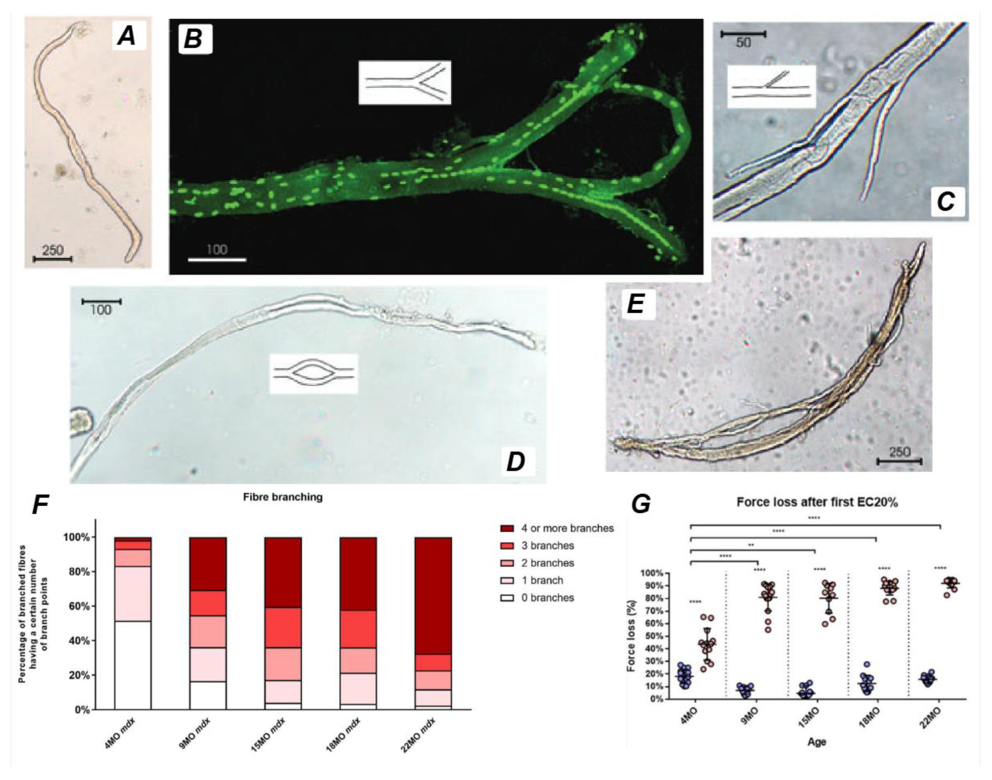 Preprints 190150 g005