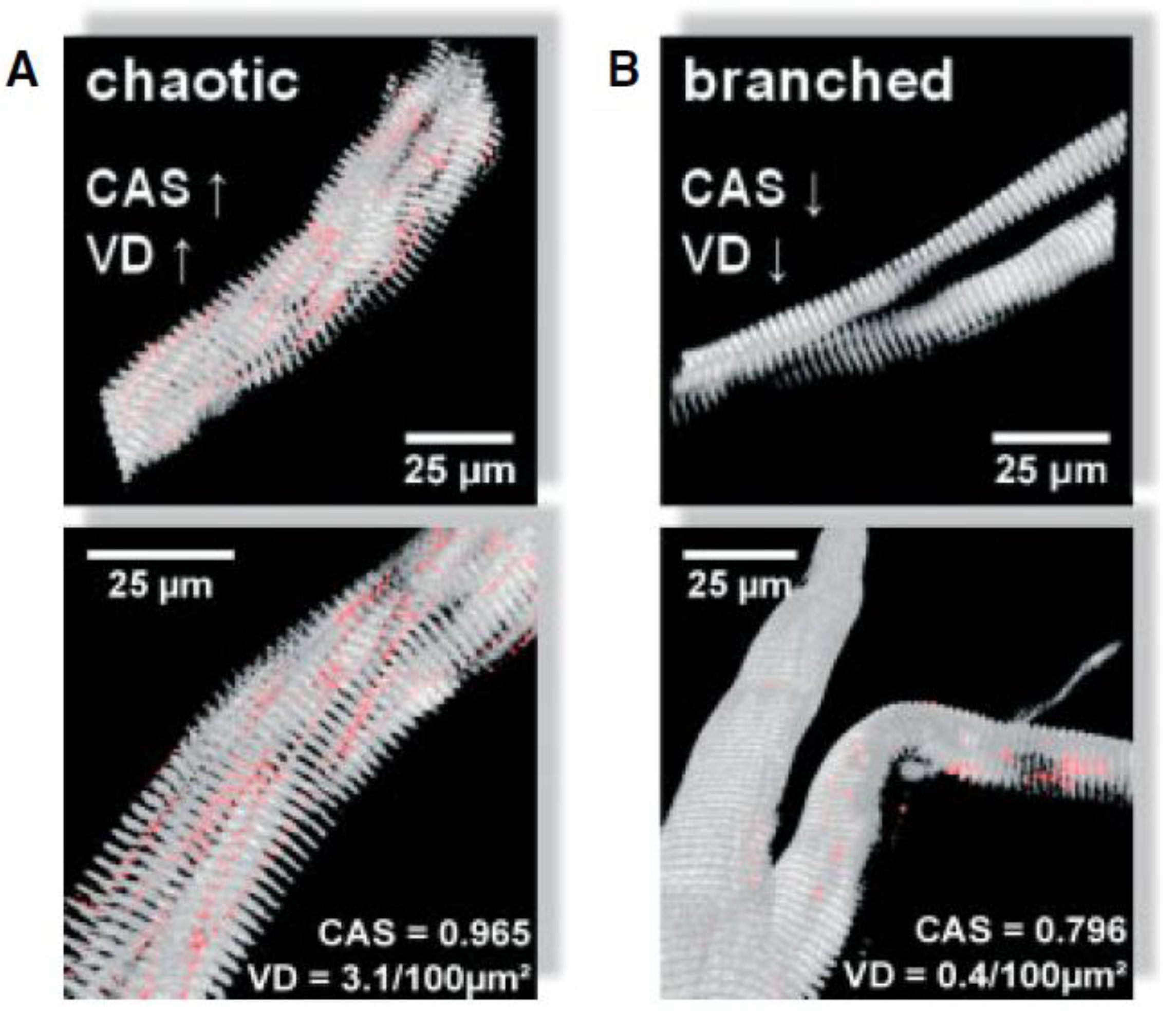 Preprints 190150 g006