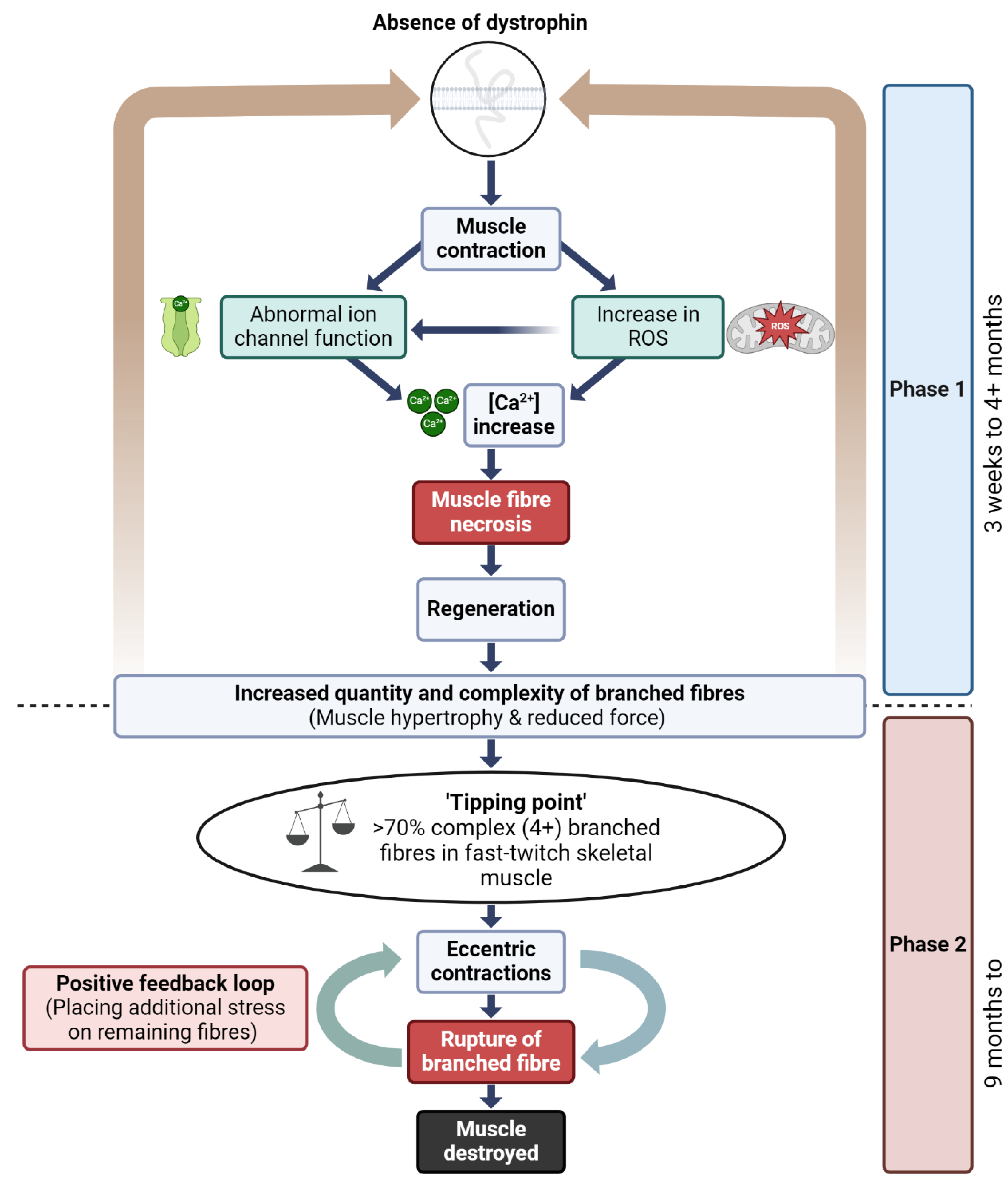 Preprints 190150 g007