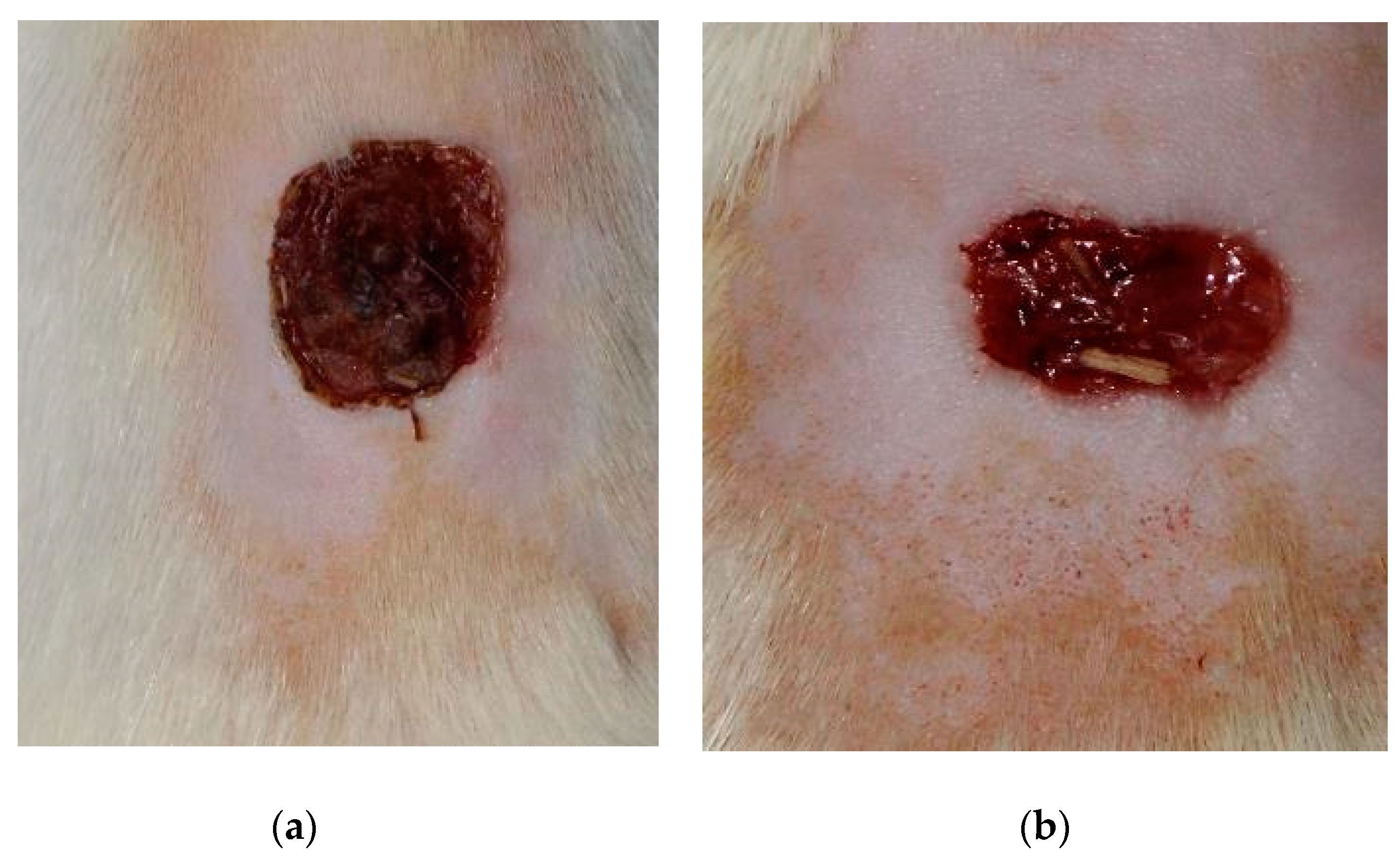 Preprints 92423 g003