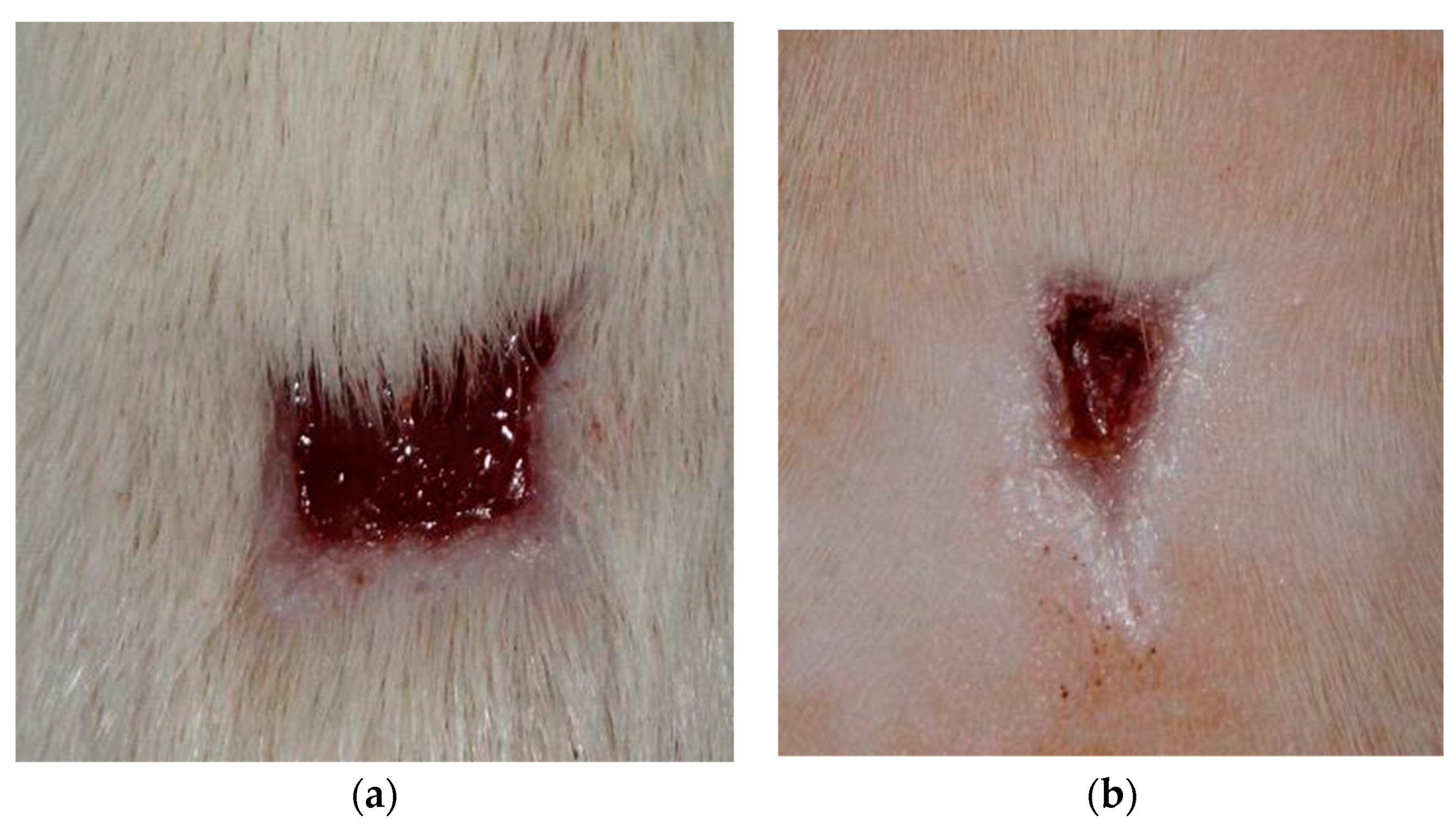 Preprints 92423 g004