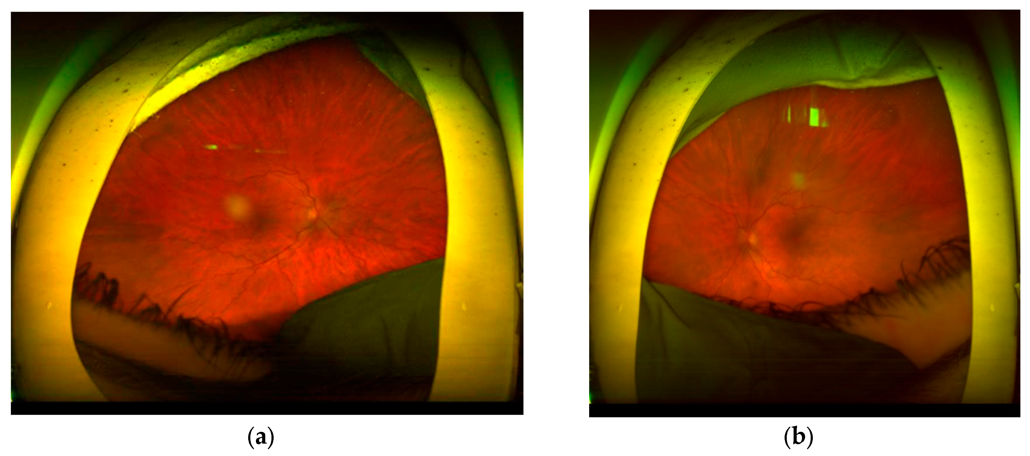 Preprints 97213 g002