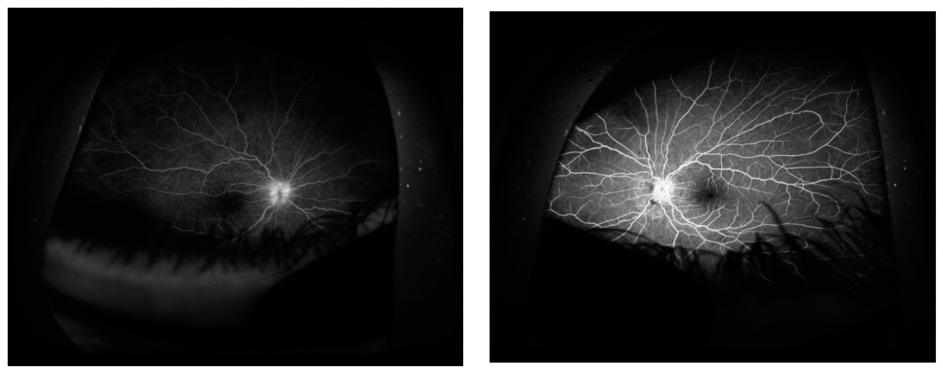 Preprints 97213 g004