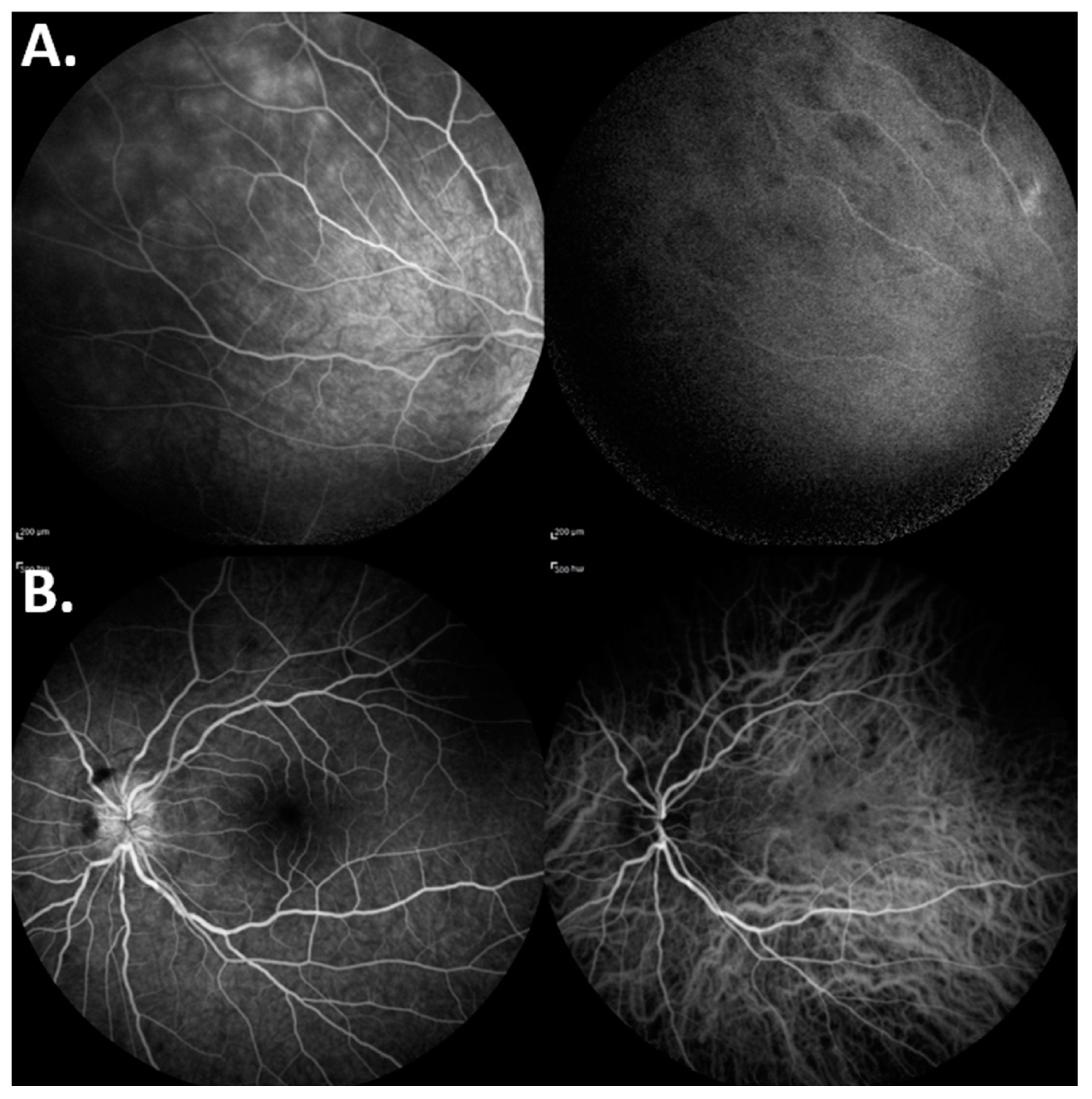 Preprints 97213 g005