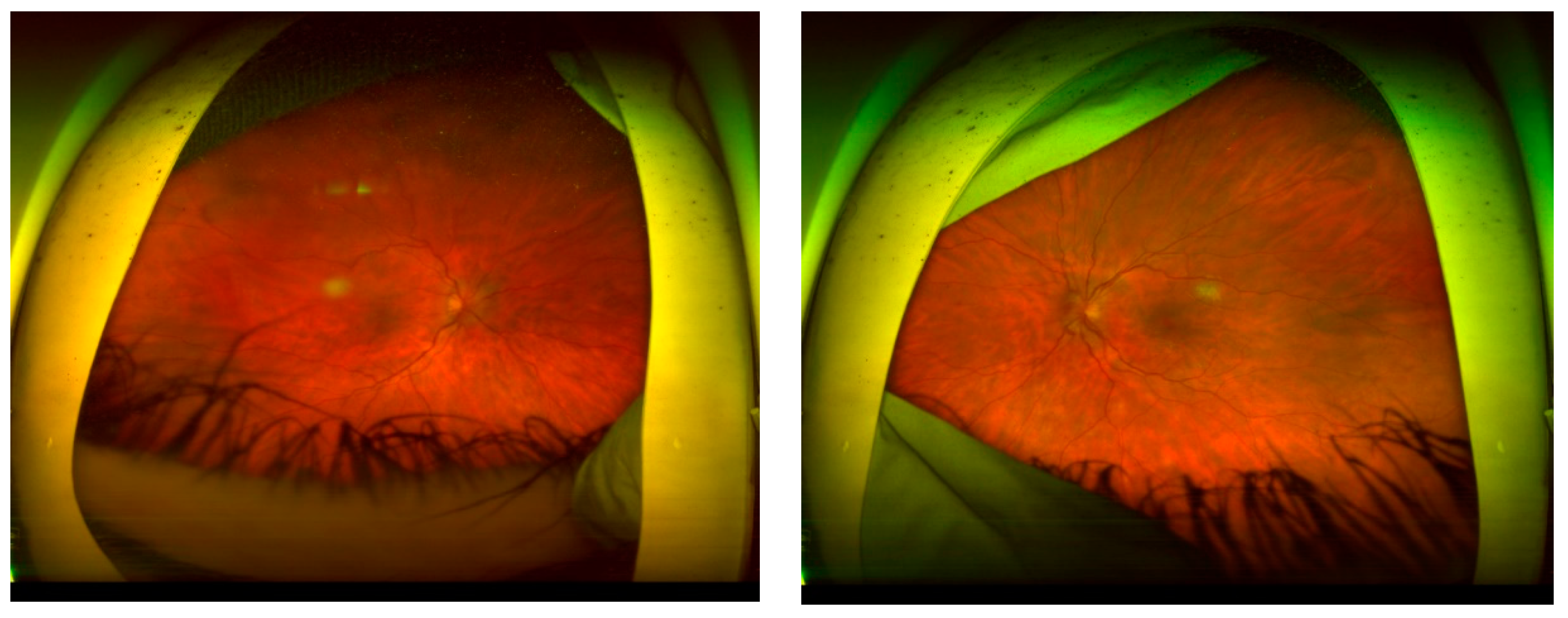 Preprints 97213 g006