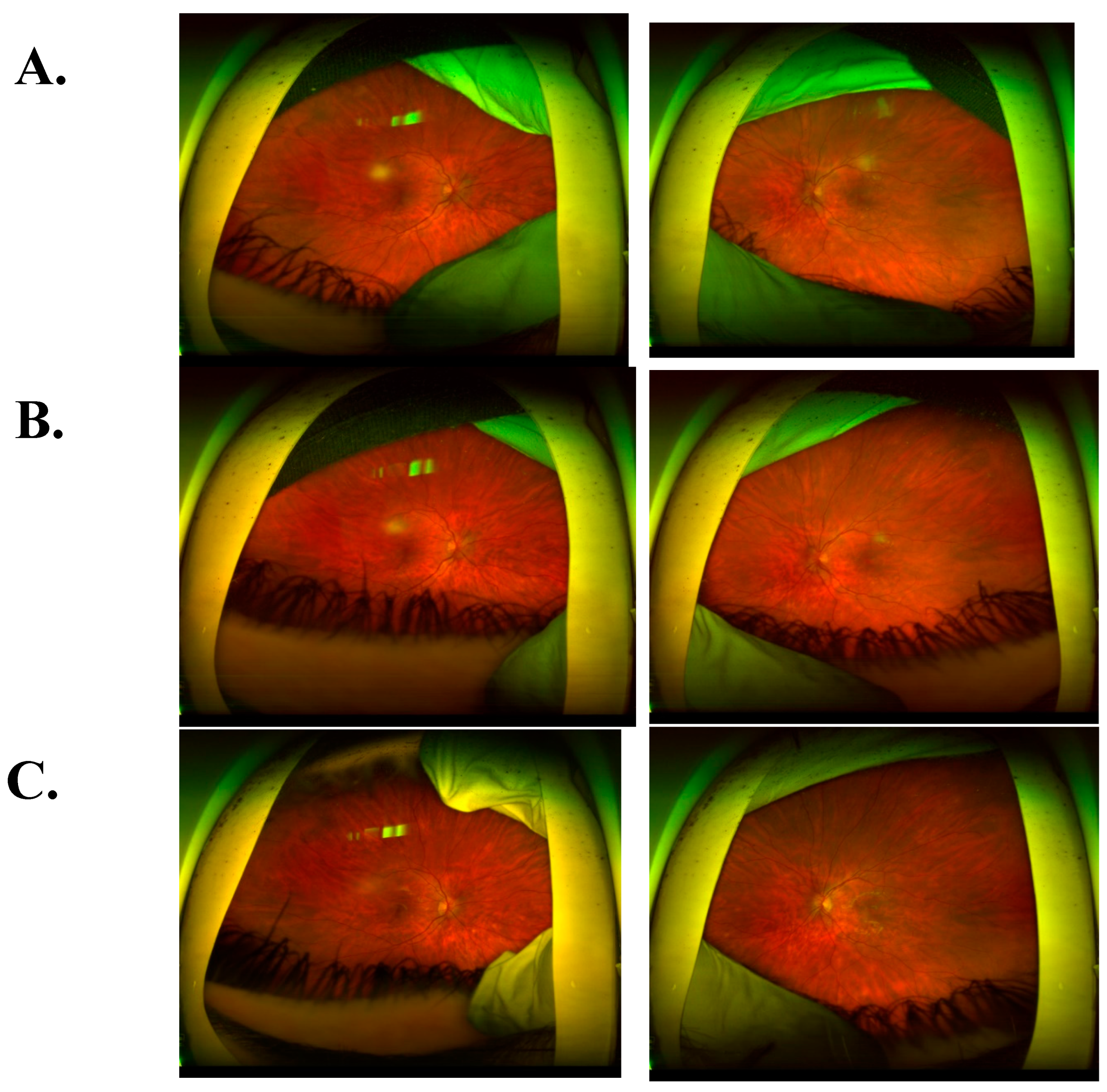 Preprints 97213 g007