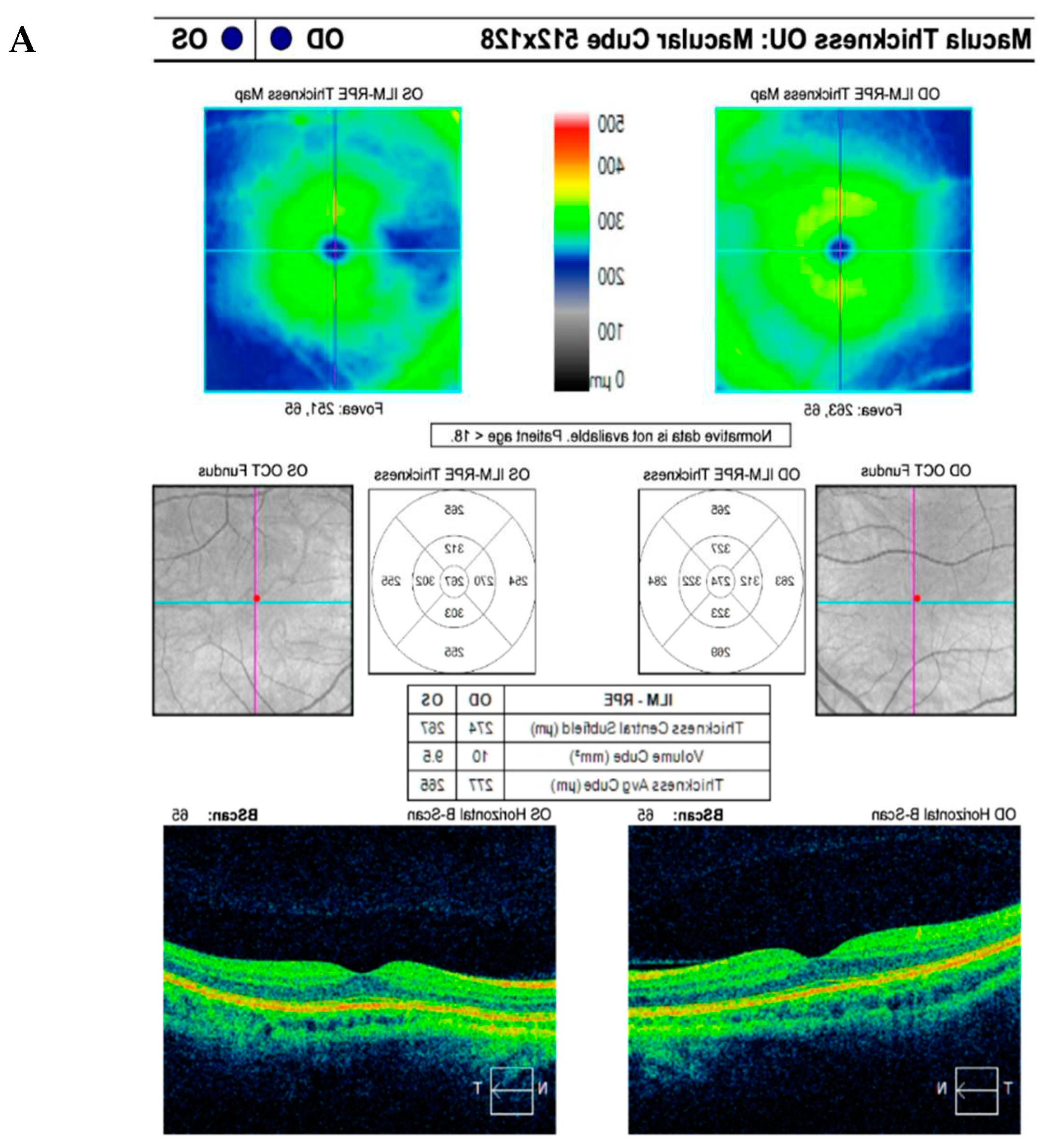 Preprints 97213 g008a