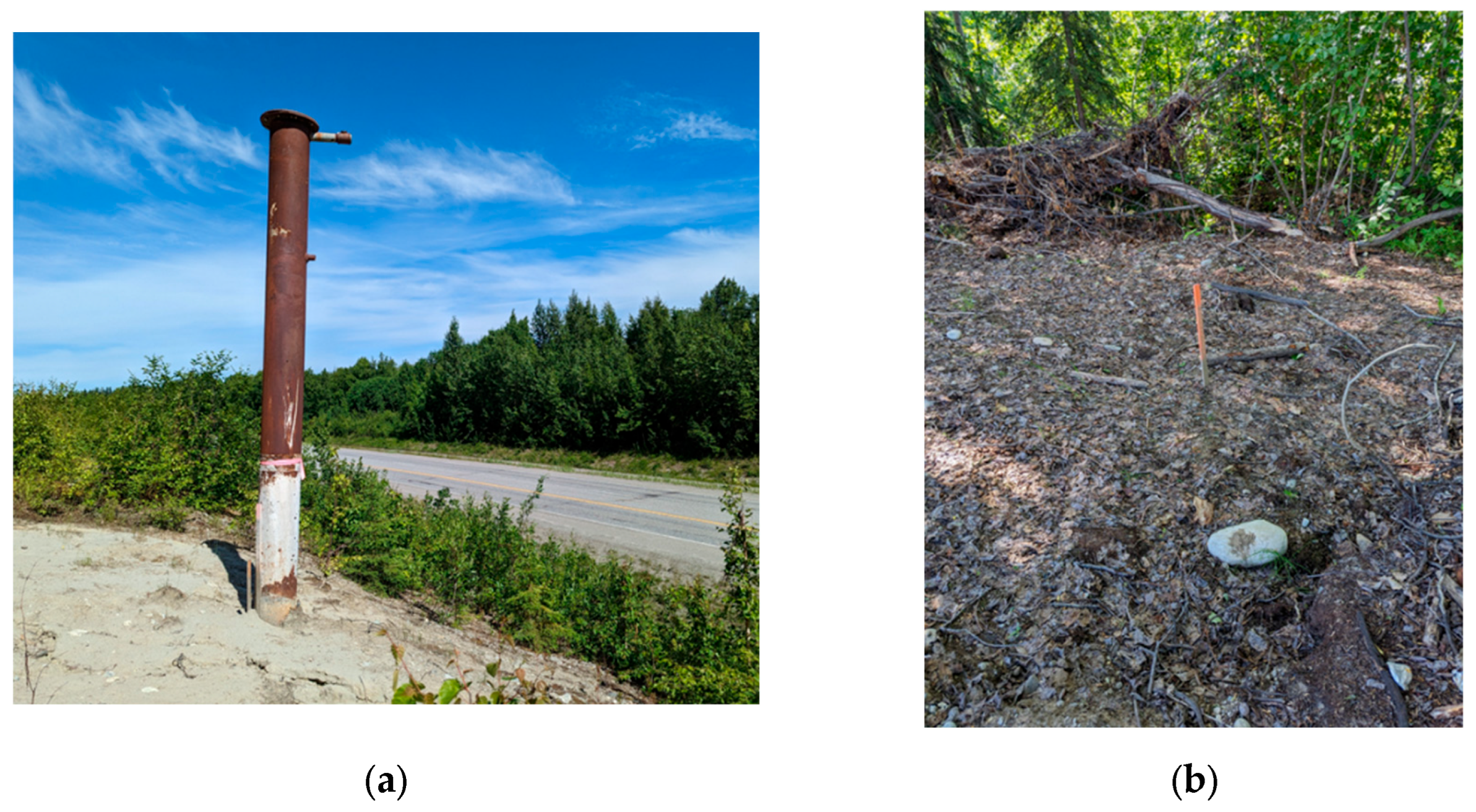 Preprints 197623 g005