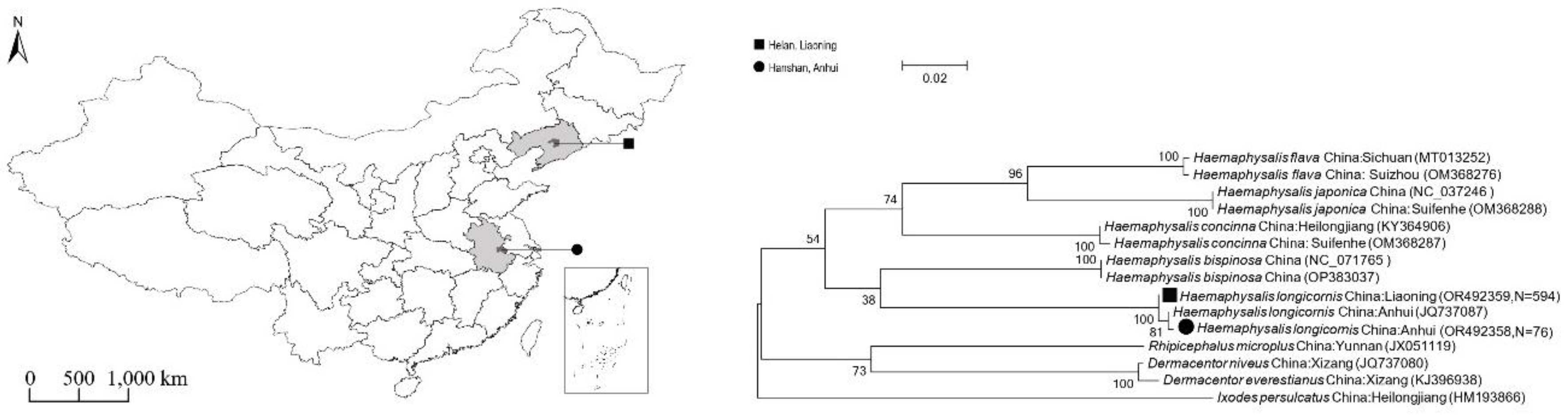 Preprints 170762 g001
