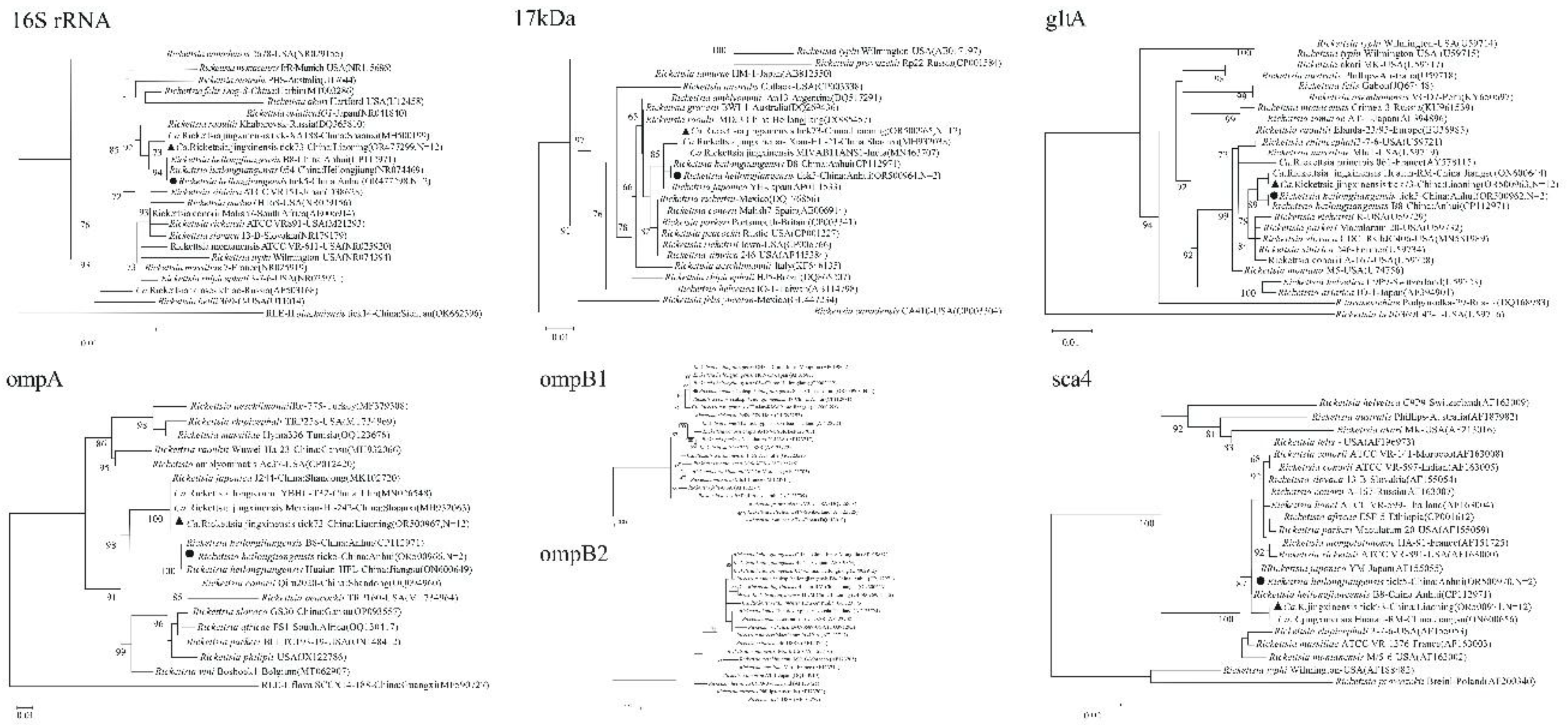 Preprints 170762 g002
