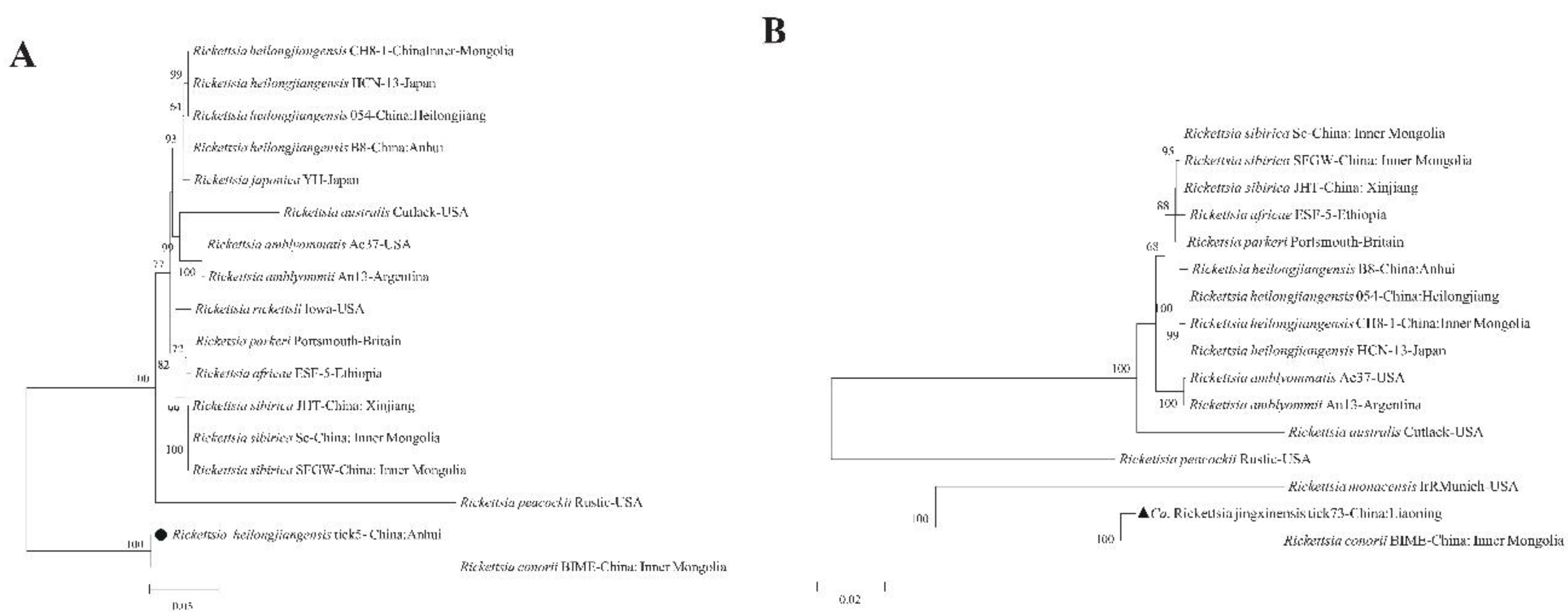 Preprints 170762 g003