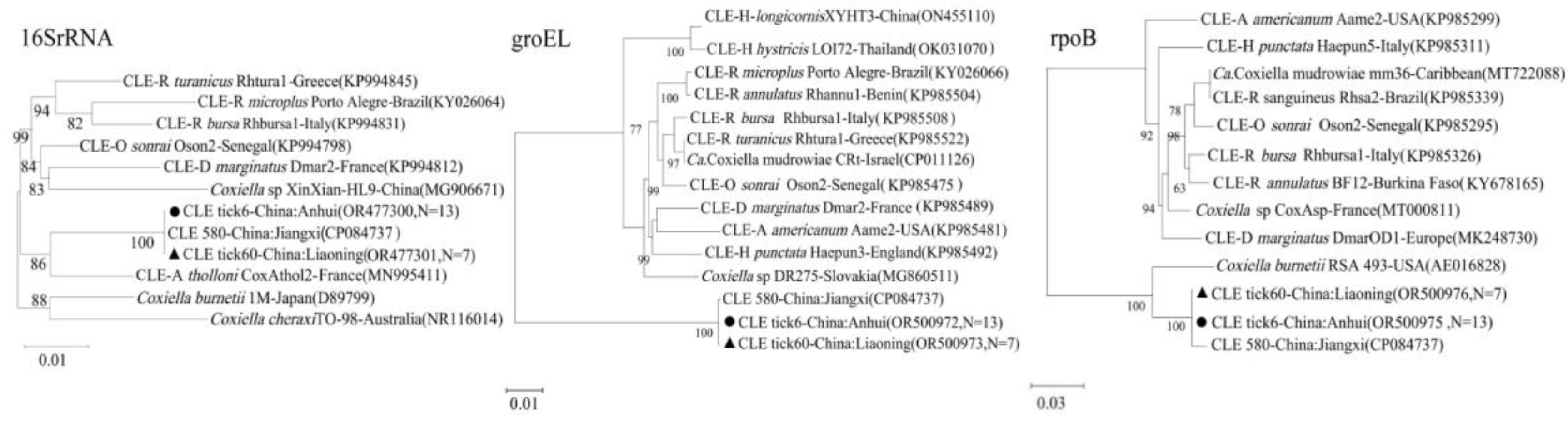 Preprints 170762 g004