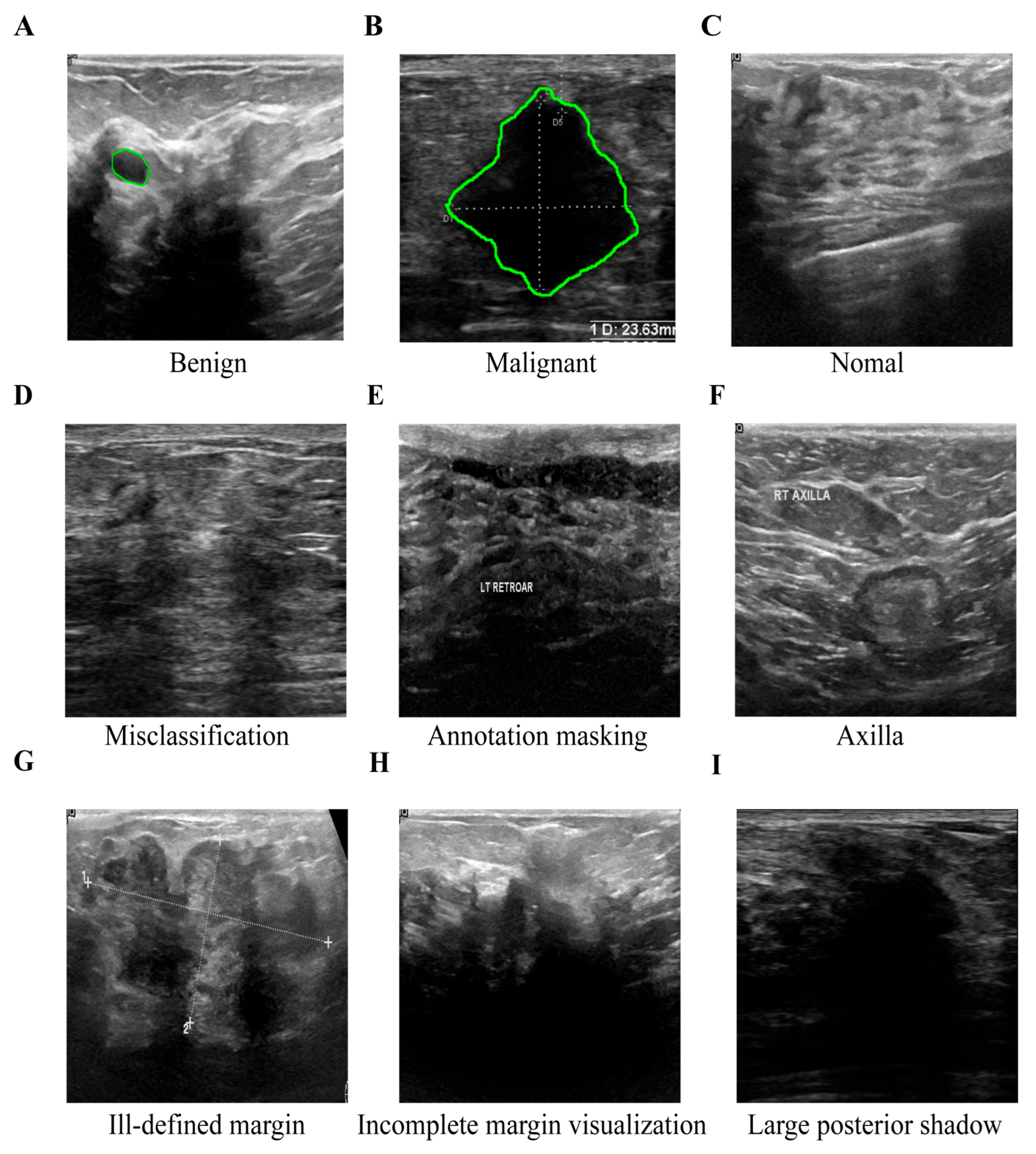 Preprints 186986 g007