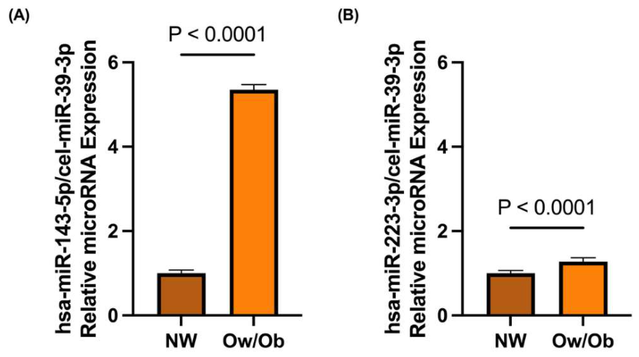 Preprints 222301 g002 Preprints 222301 g002