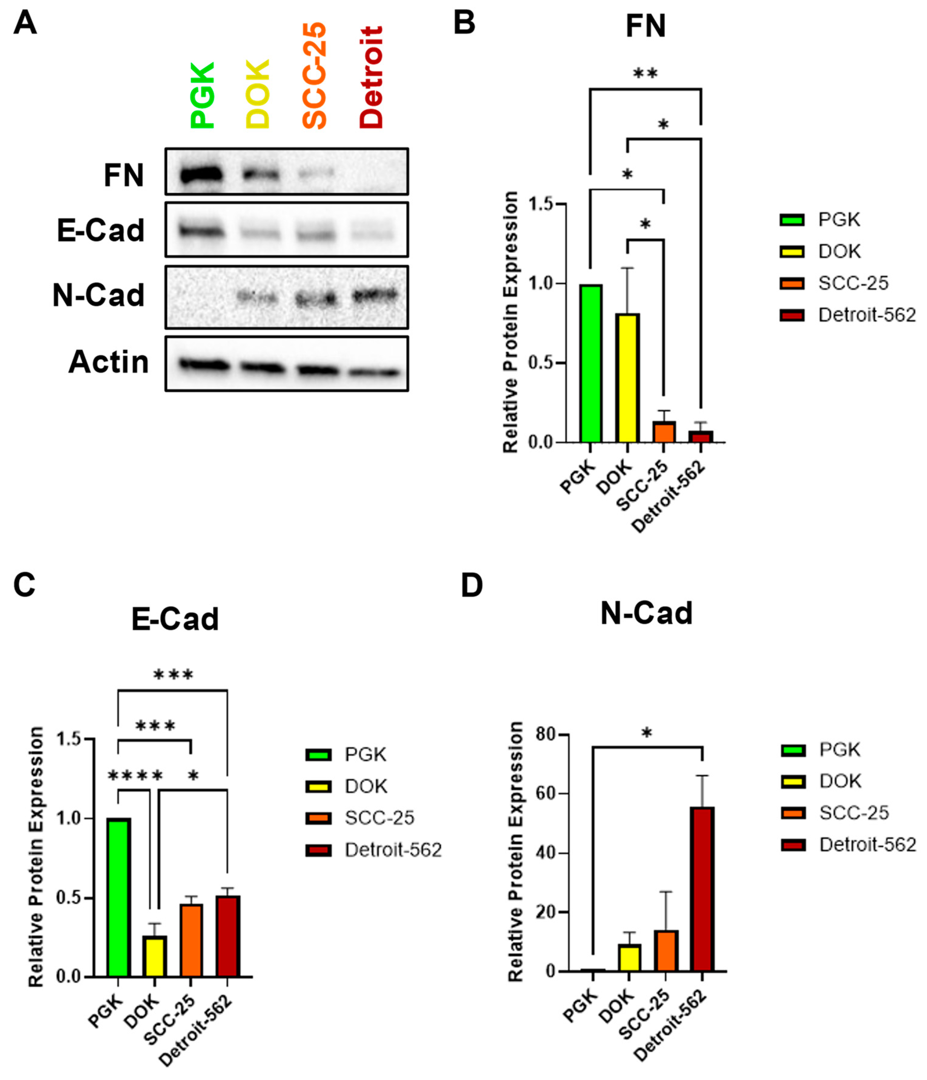 Preprints 141612 g002