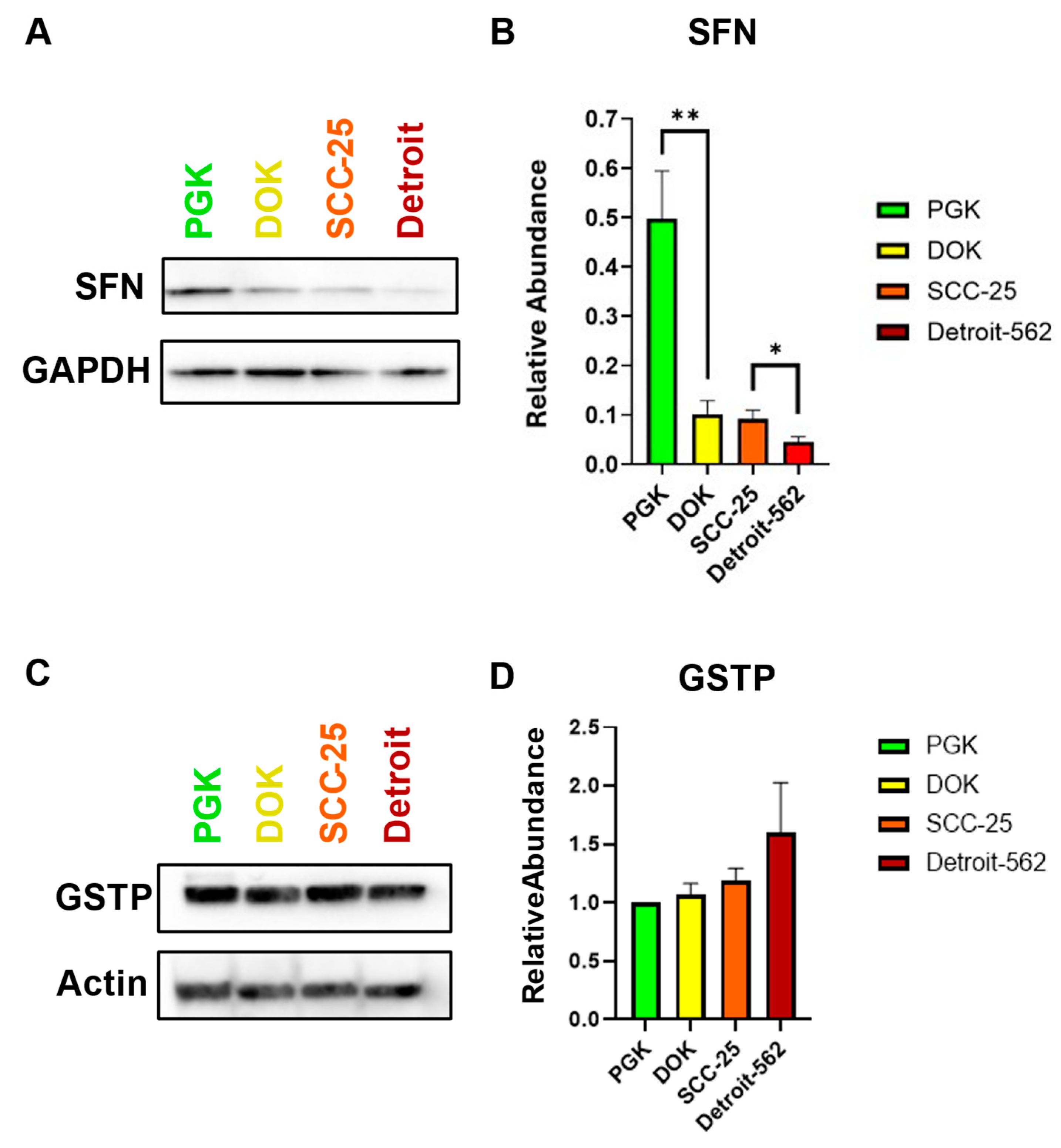Preprints 141612 g004