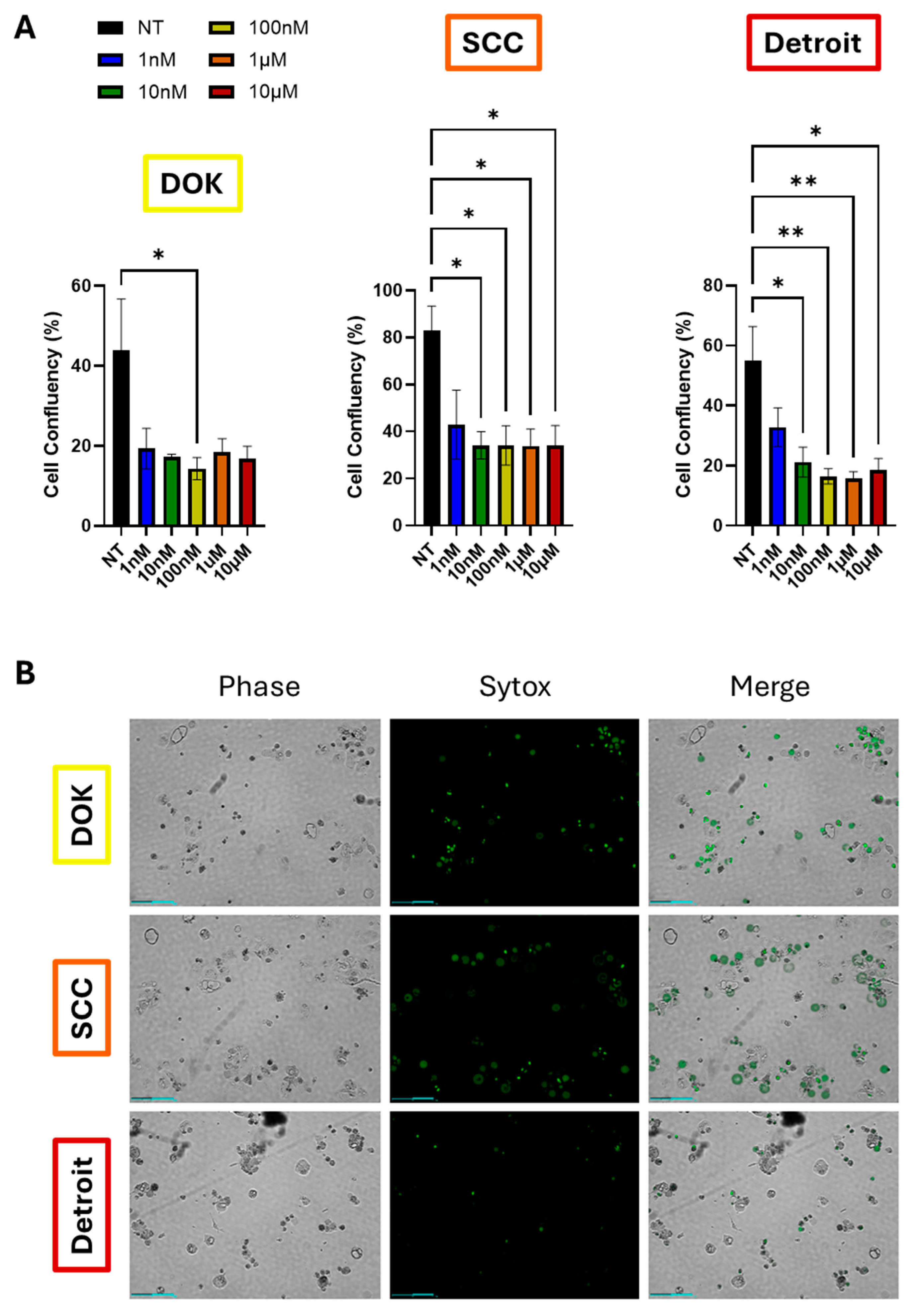 Preprints 141612 g005