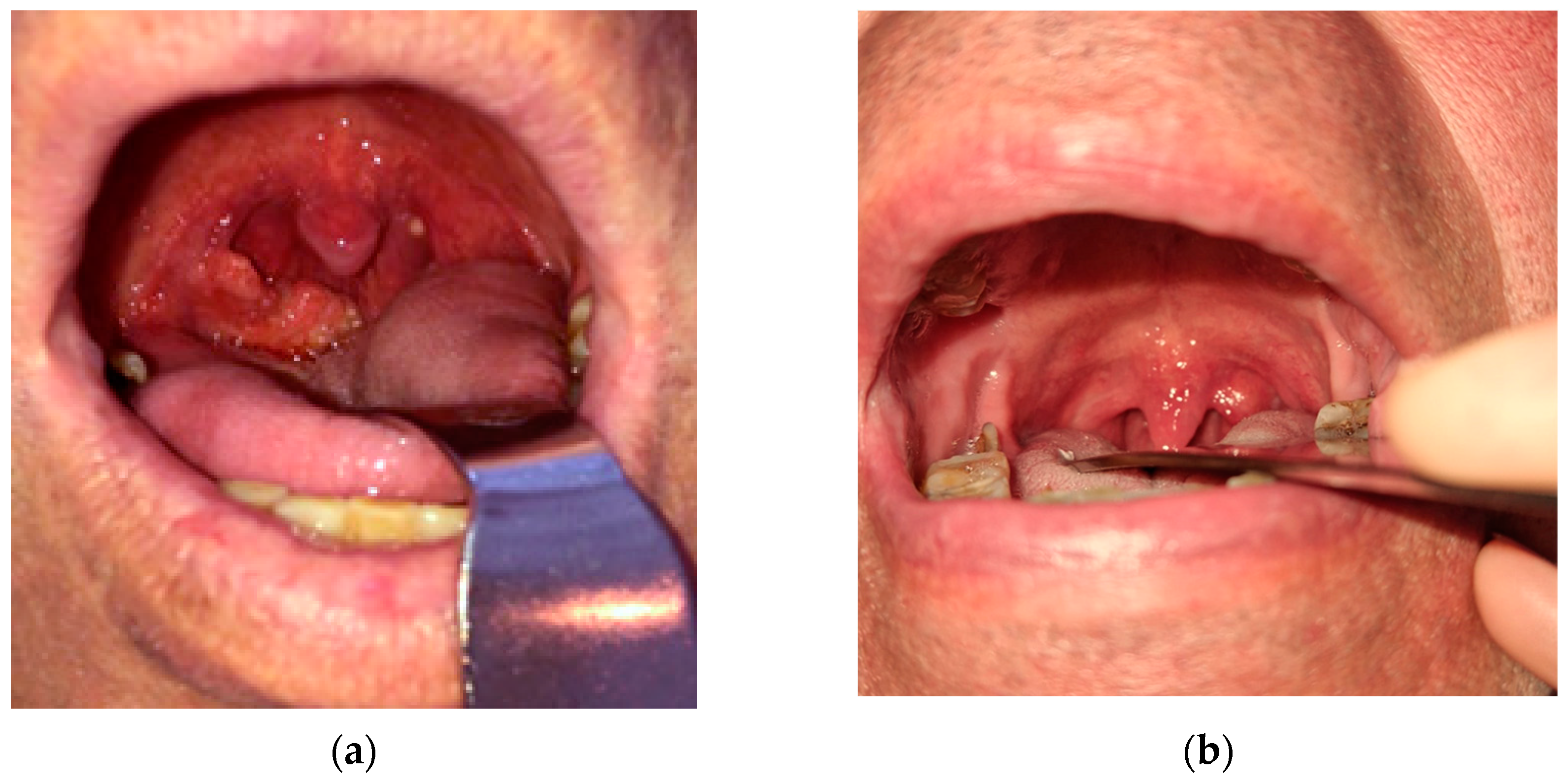 Preprints 155764 g001