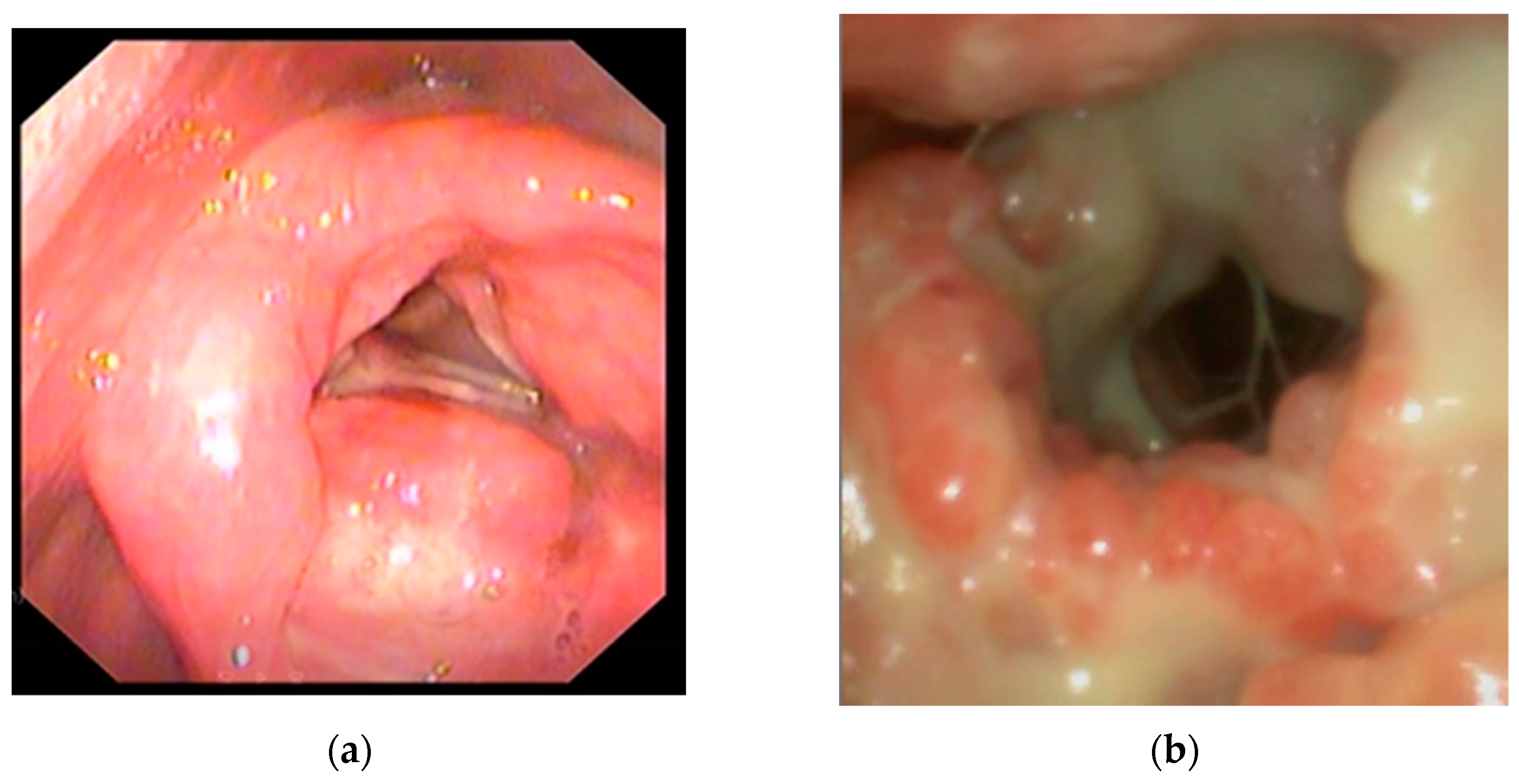 Preprints 155764 g003