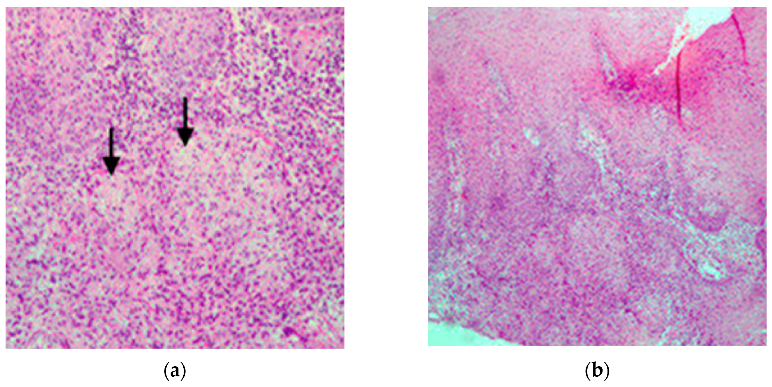 Preprints 155764 g005