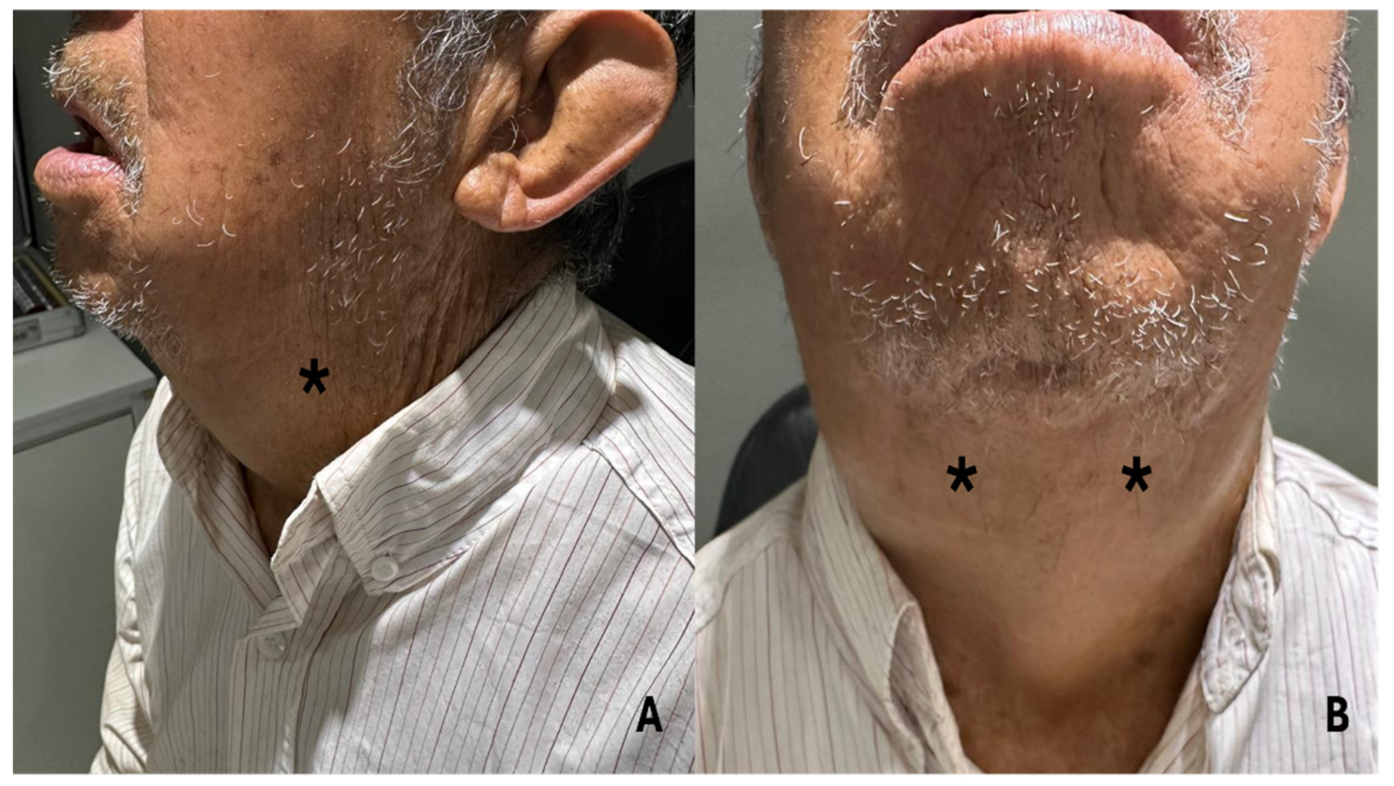 Preprints 147494 g002