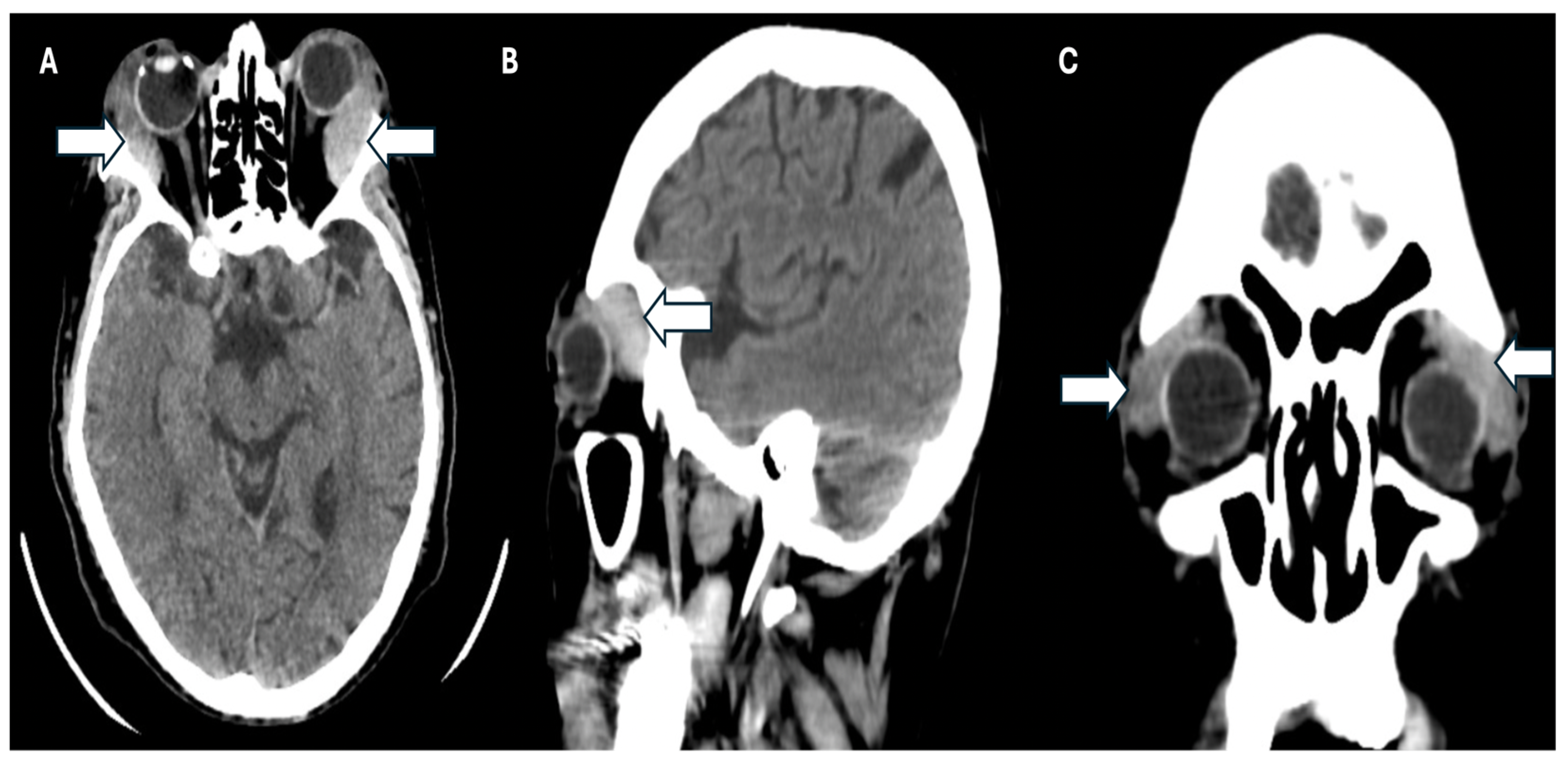 Preprints 147494 g003