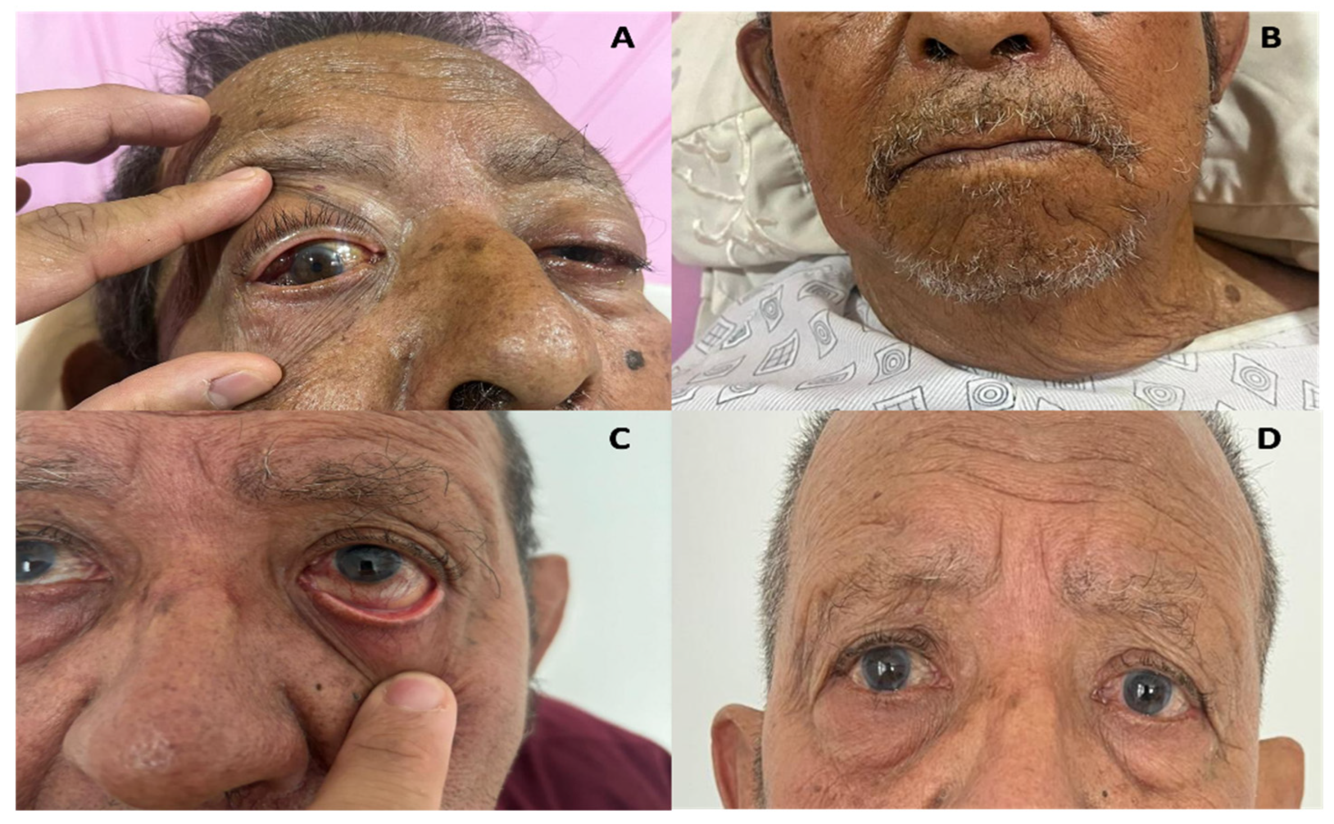 Preprints 147494 g005