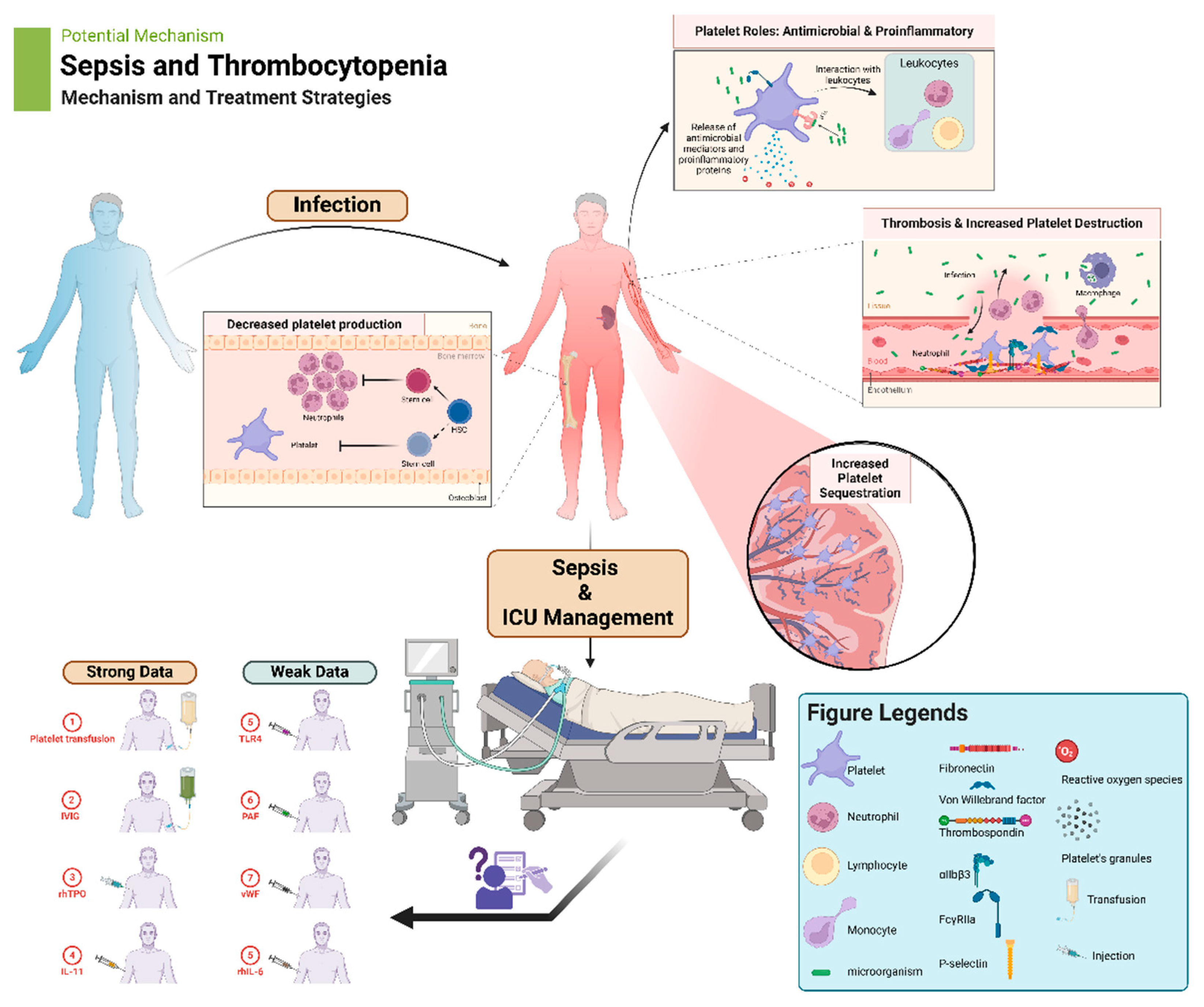 Preprints 144864 g001