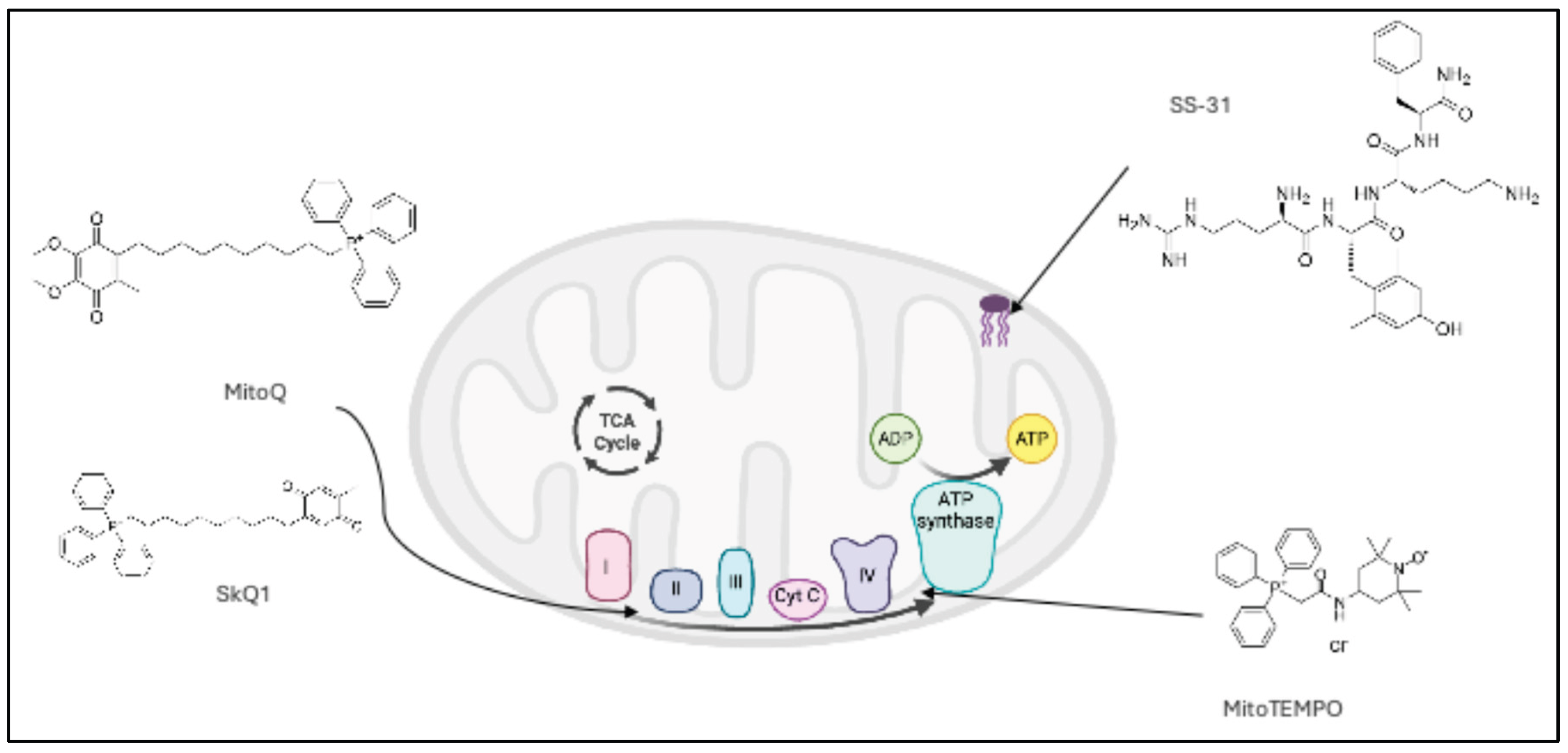 Preprints 189550 g002