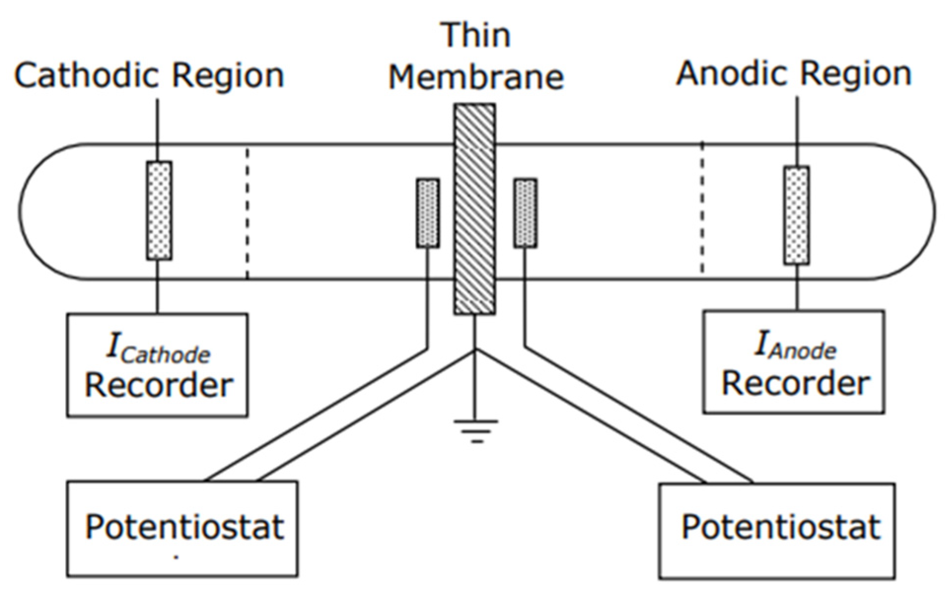 Preprints 181959 g005
