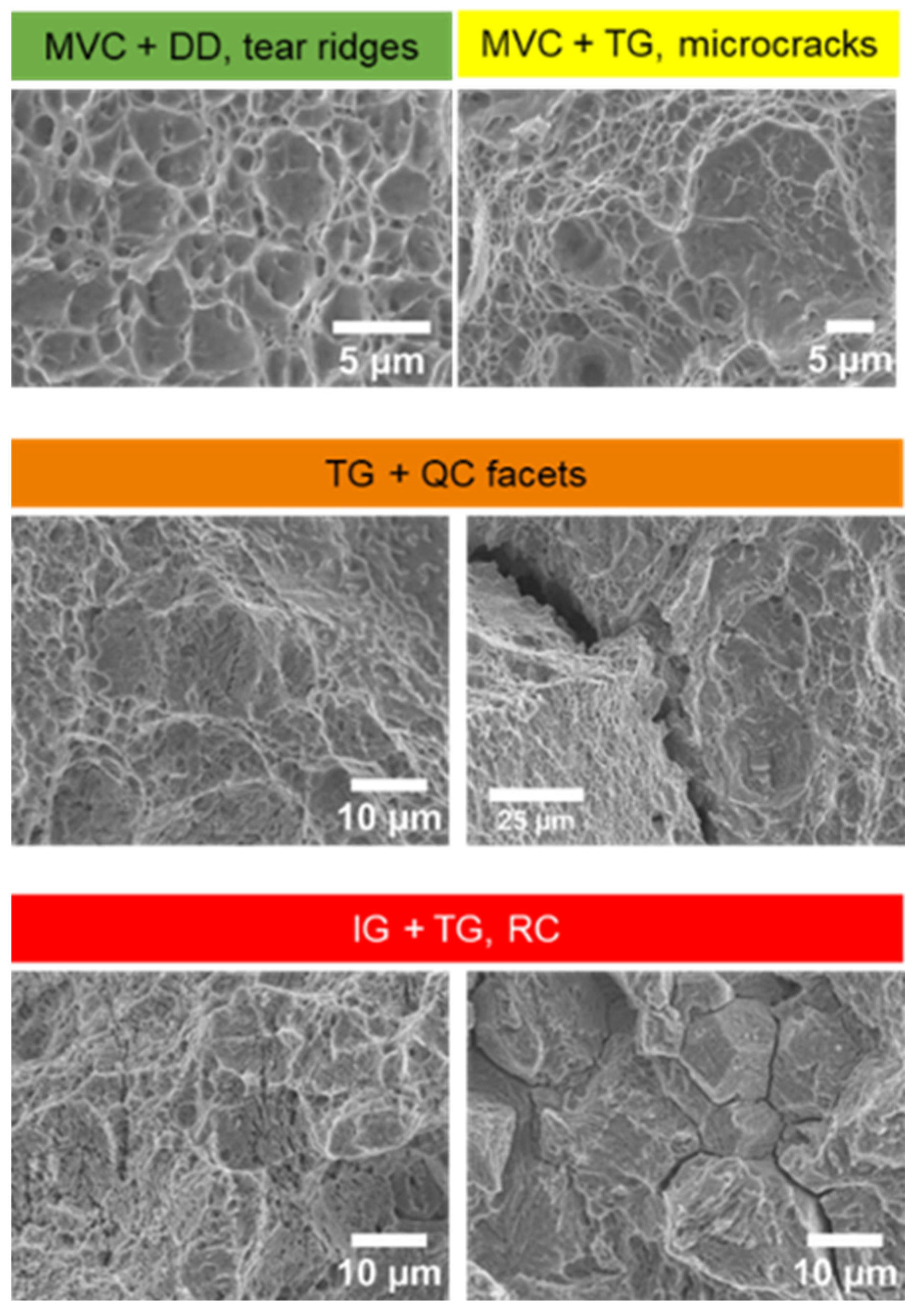 Preprints 181959 g006