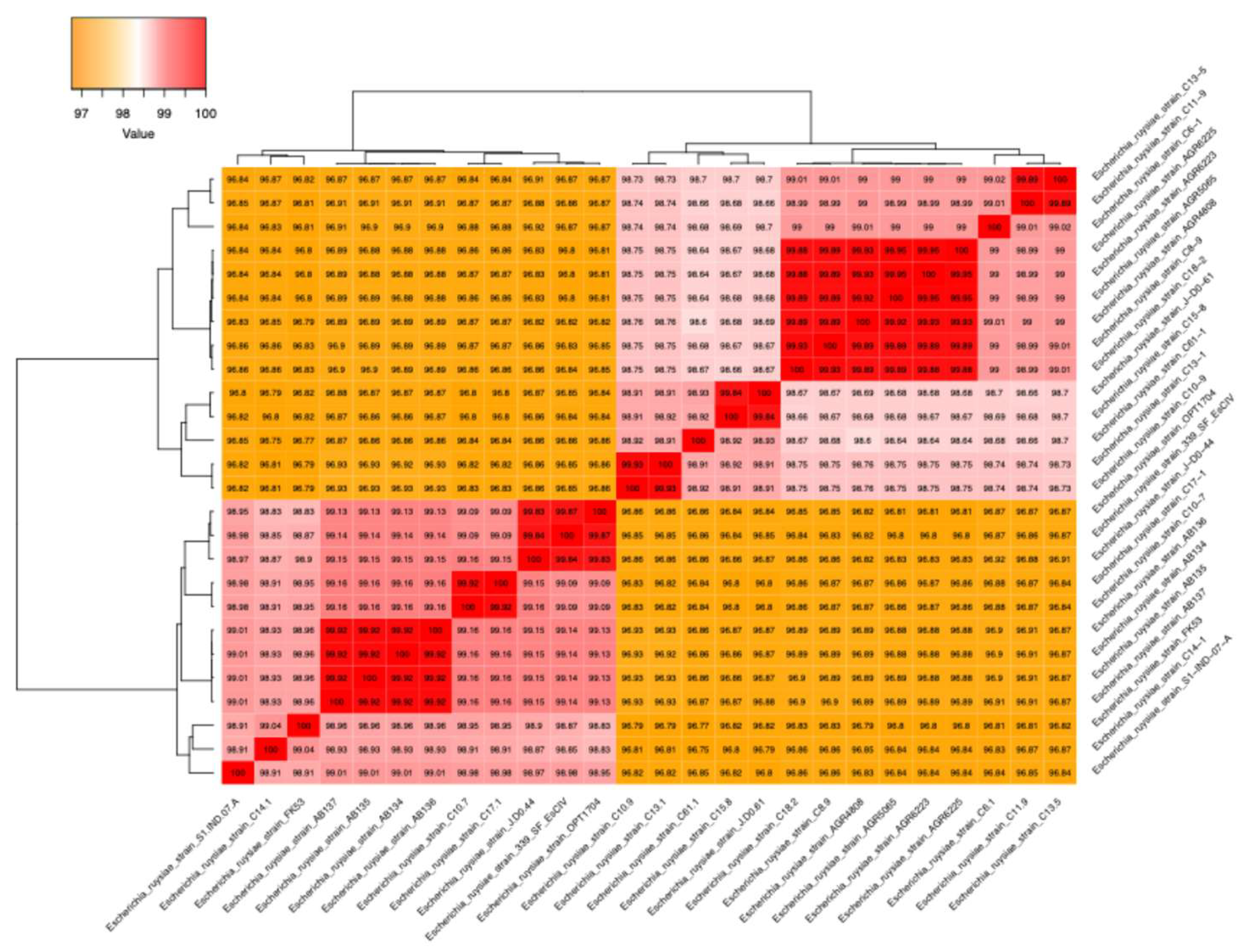 Preprints 170216 g001