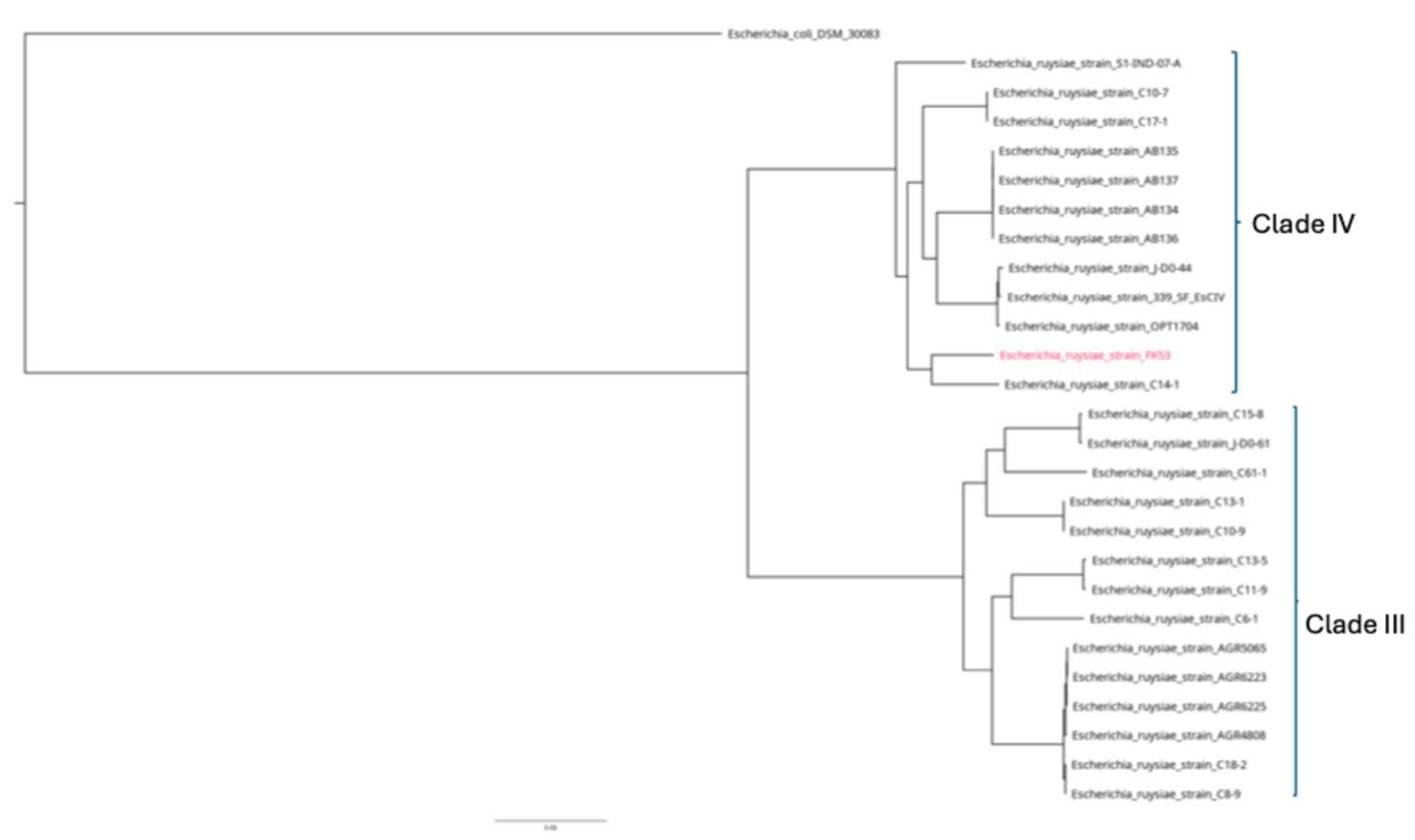 Preprints 170216 g002