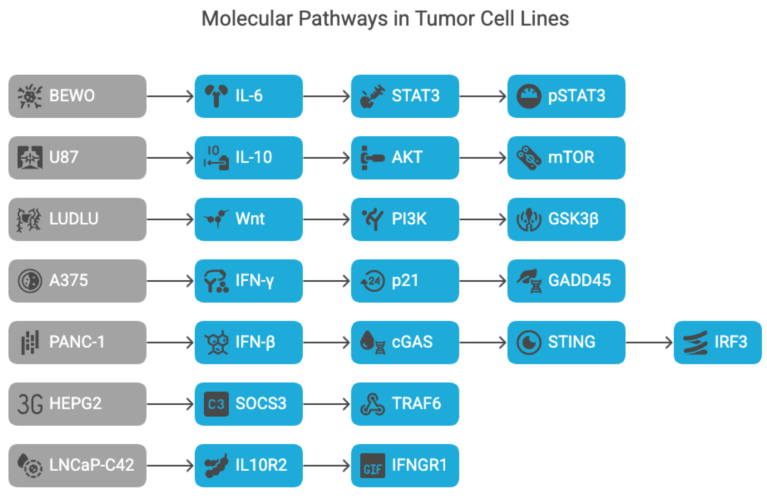 Preprints 165295 g004