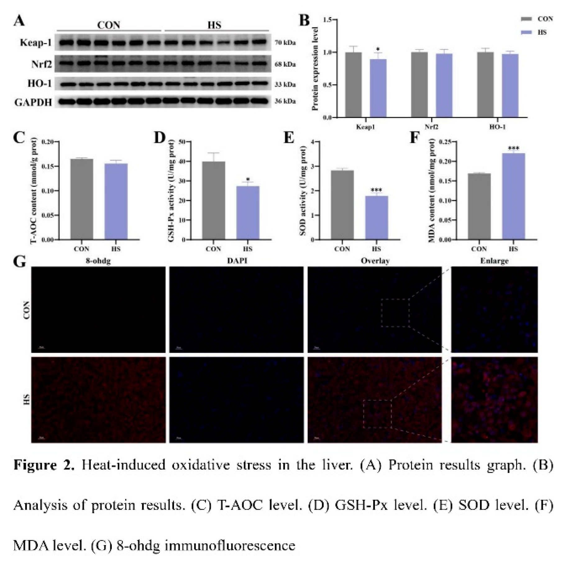 Preprints 209912 i002
