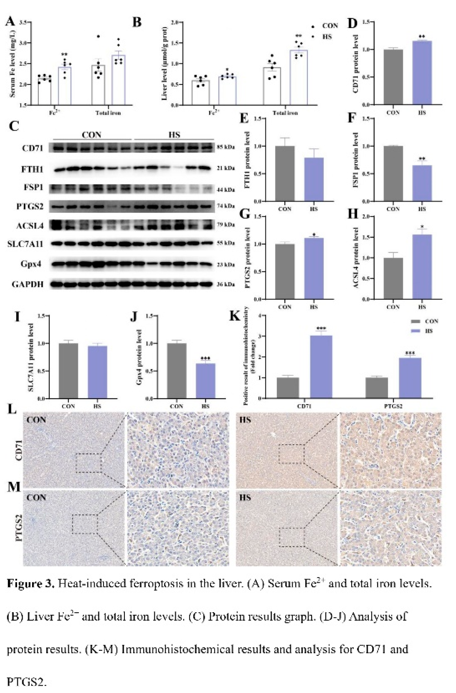 Preprints 209912 i003