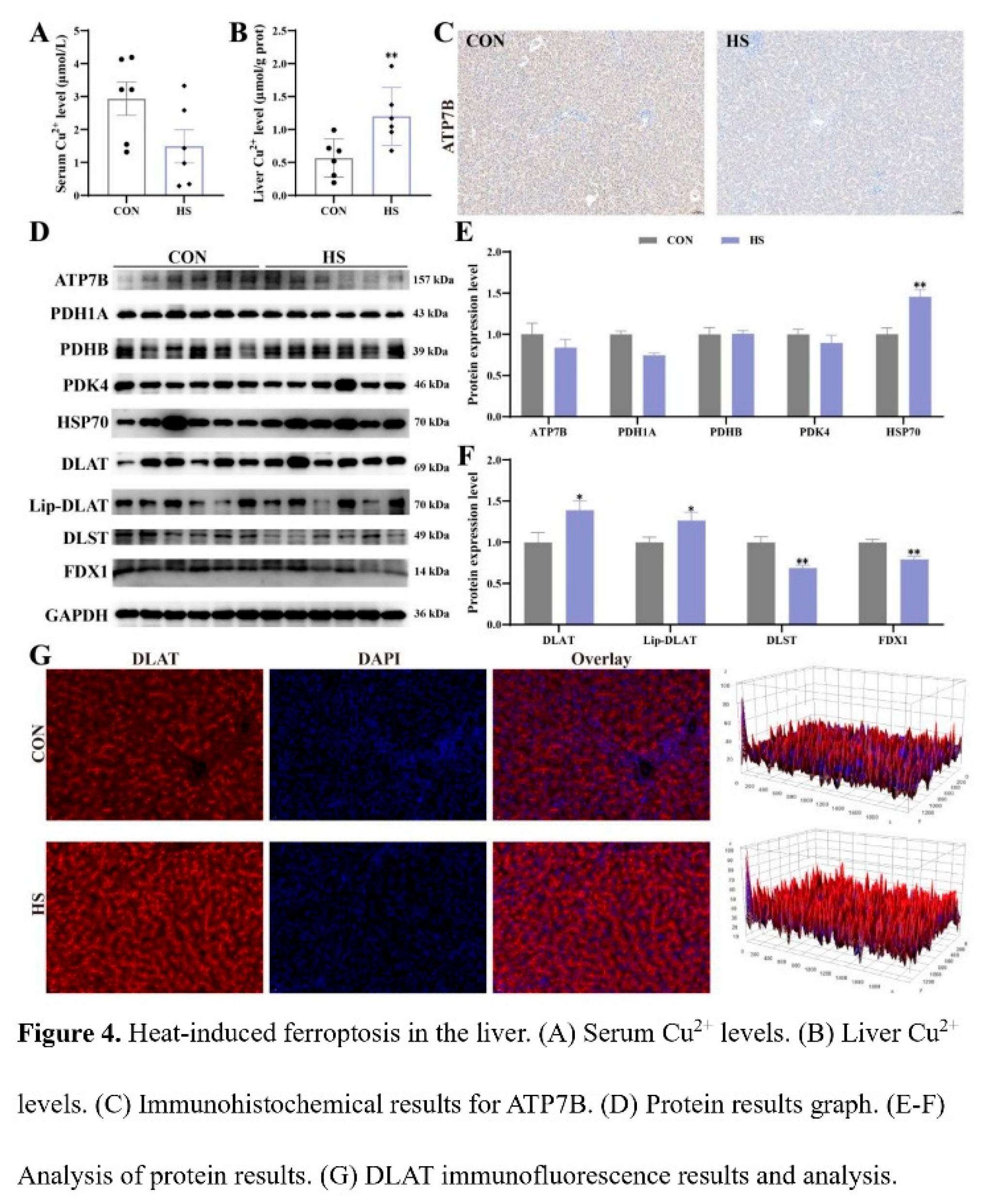 Preprints 209912 i004