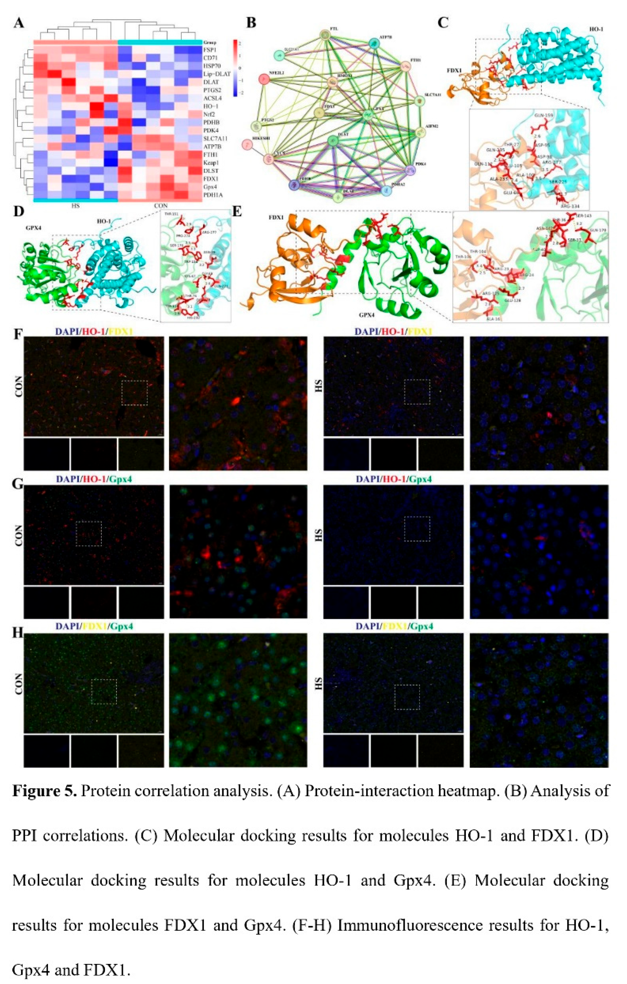 Preprints 209912 i005