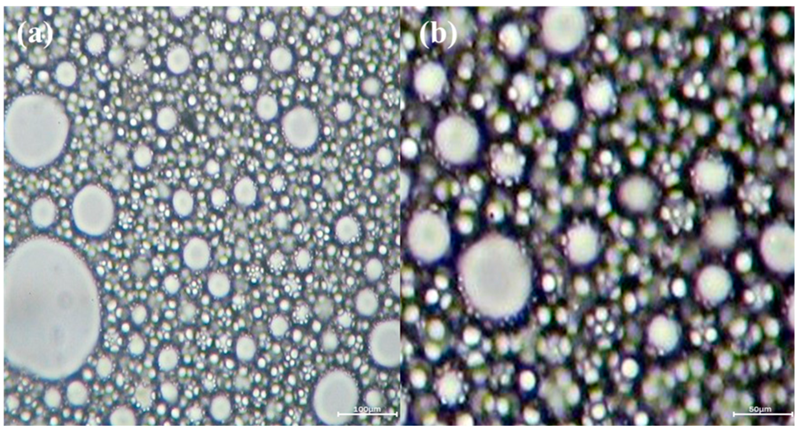 Preprints 82679 g004