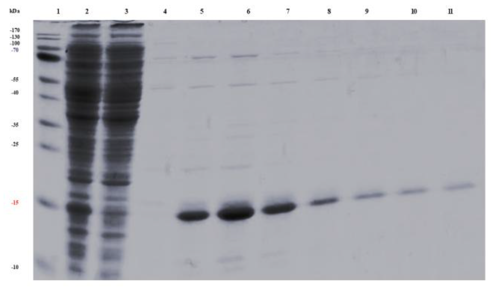 Preprints 222042 g003 Preprints 222042 g003
