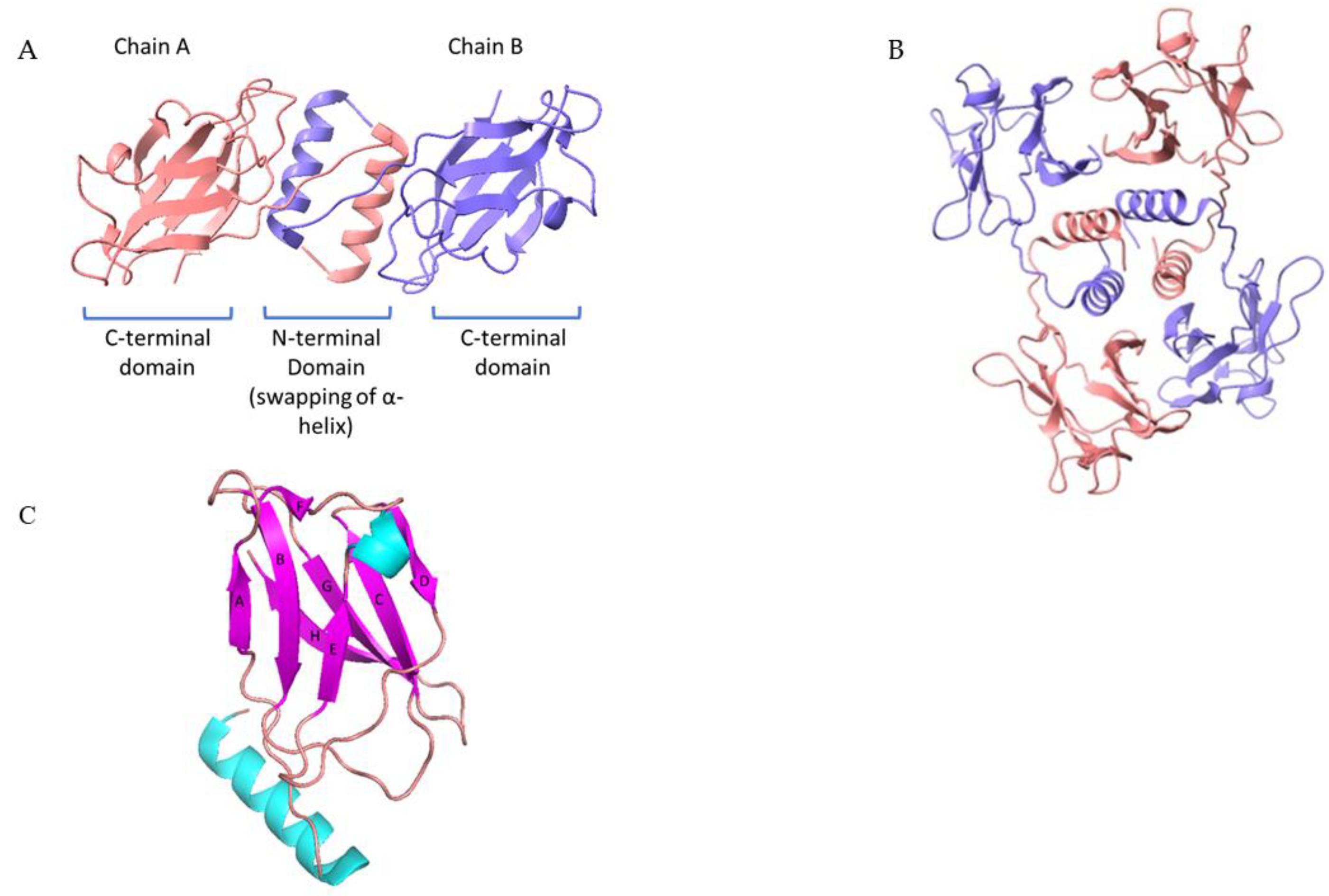 Preprints 222042 g004 Preprints 222042 g004