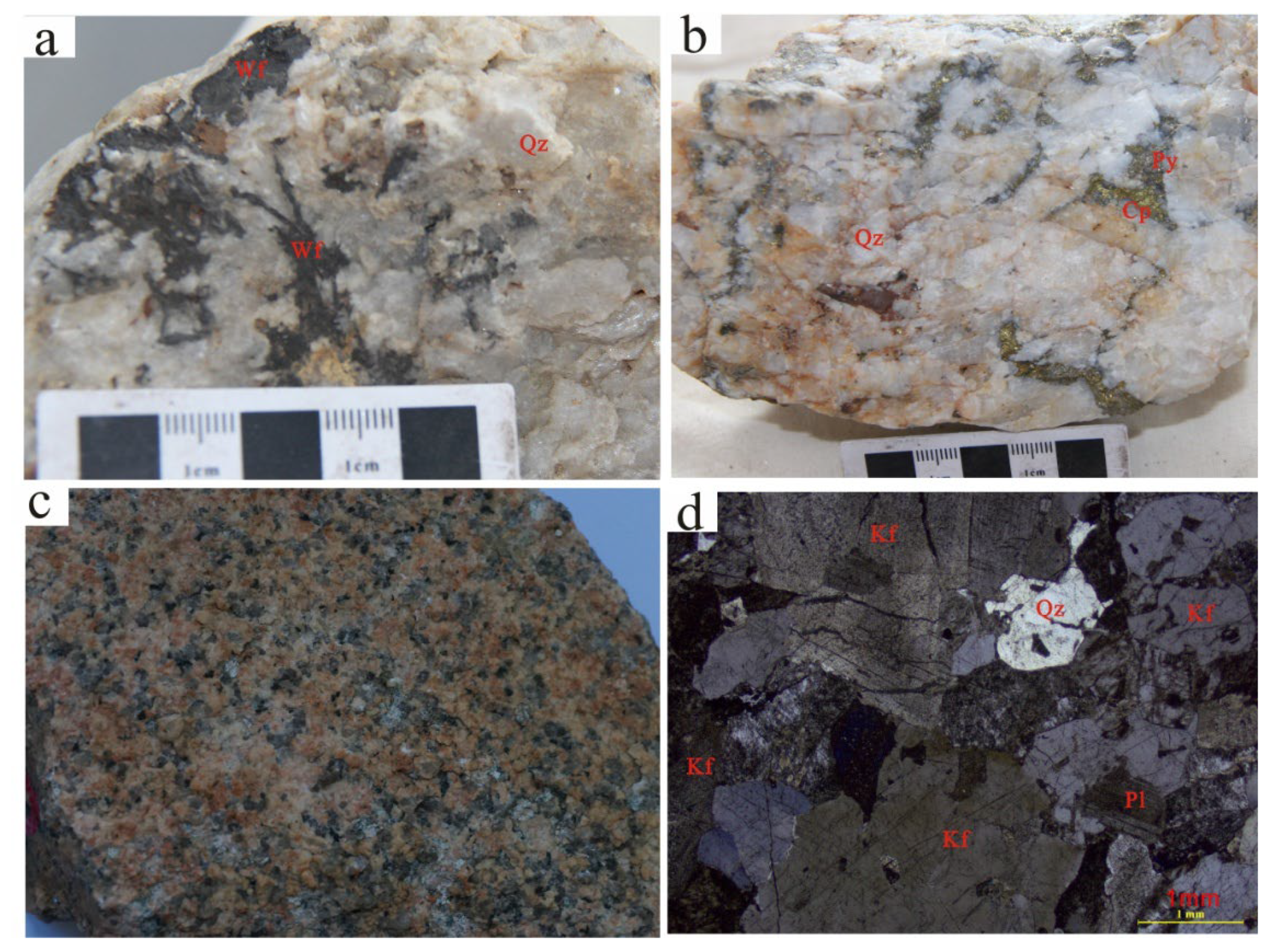 Preprints 201055 g003