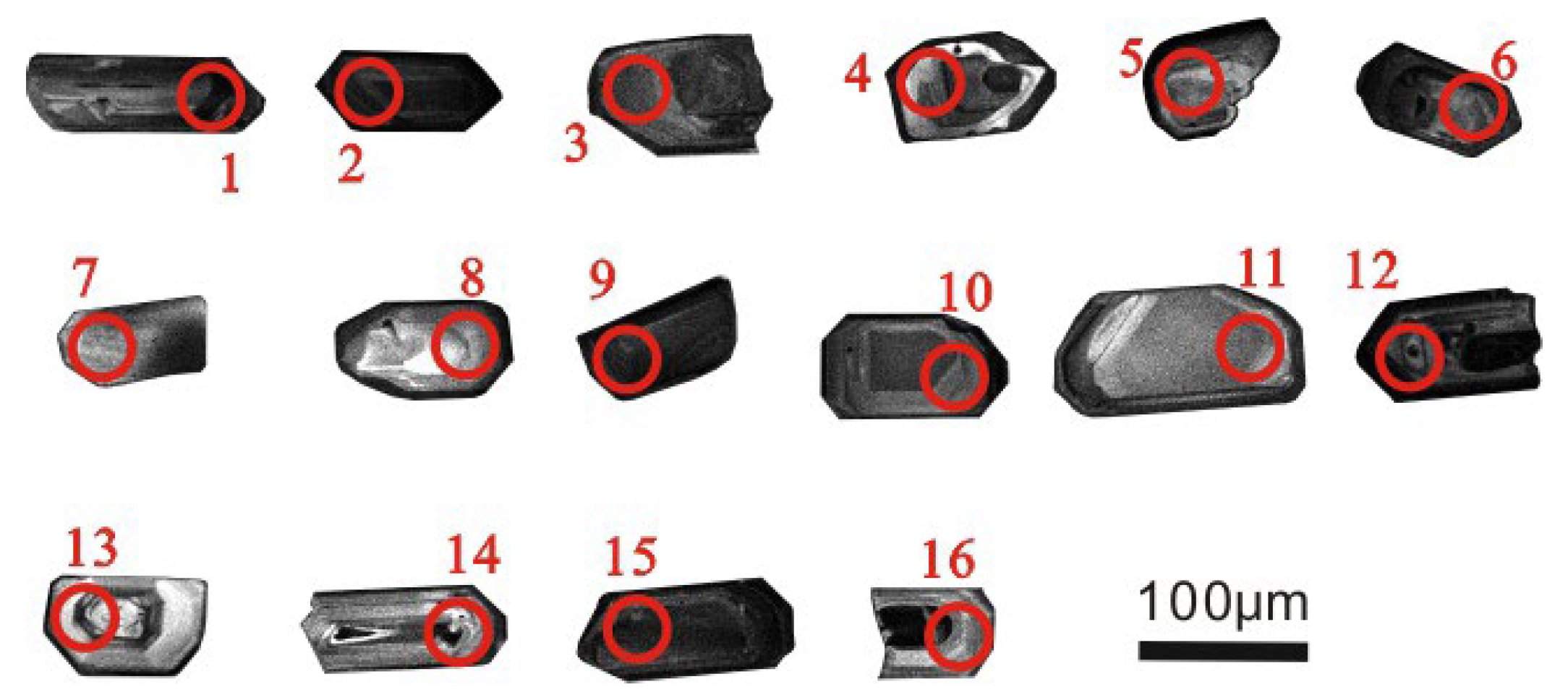 Preprints 201055 g004