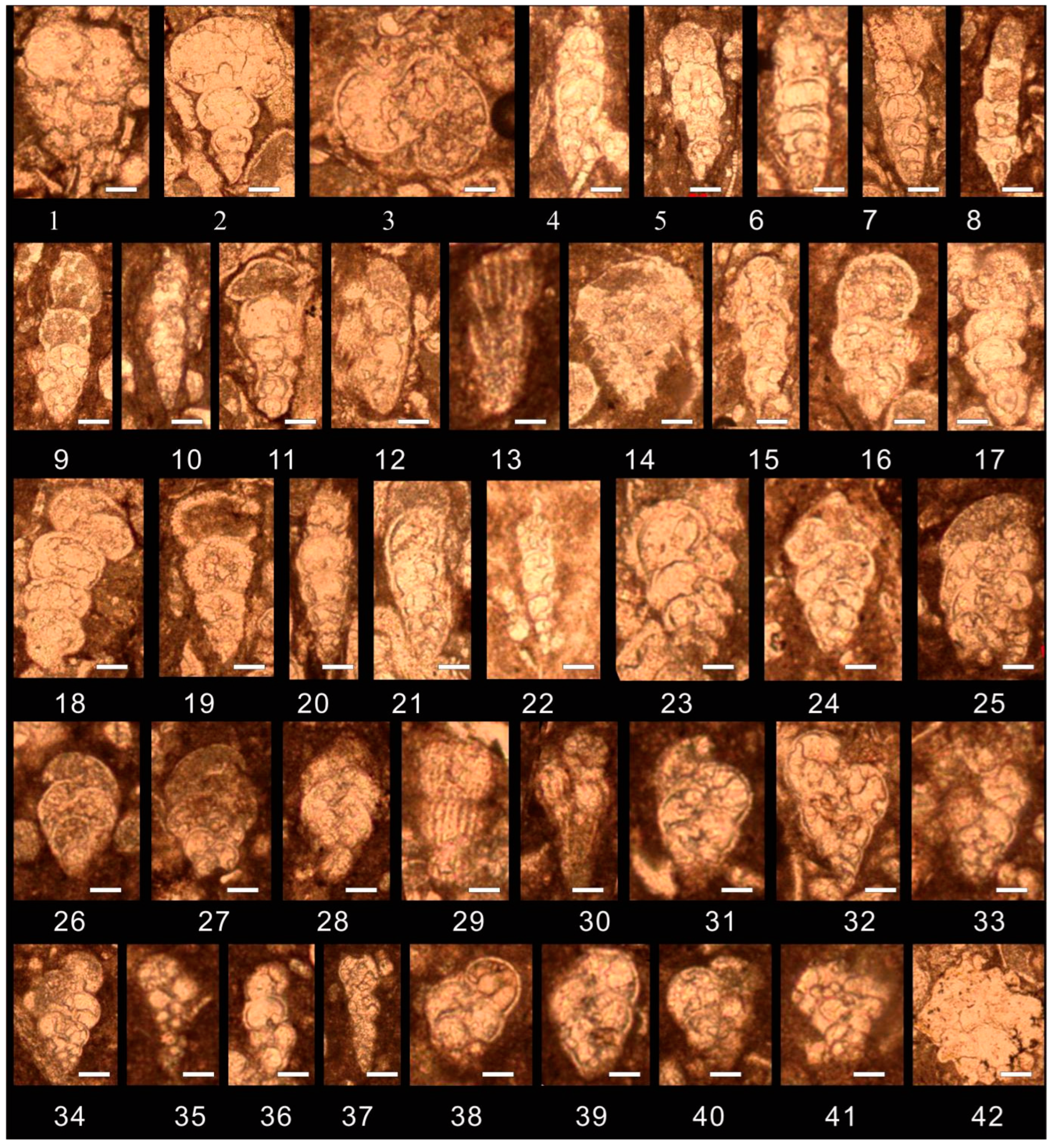 Preprints 156247 g005